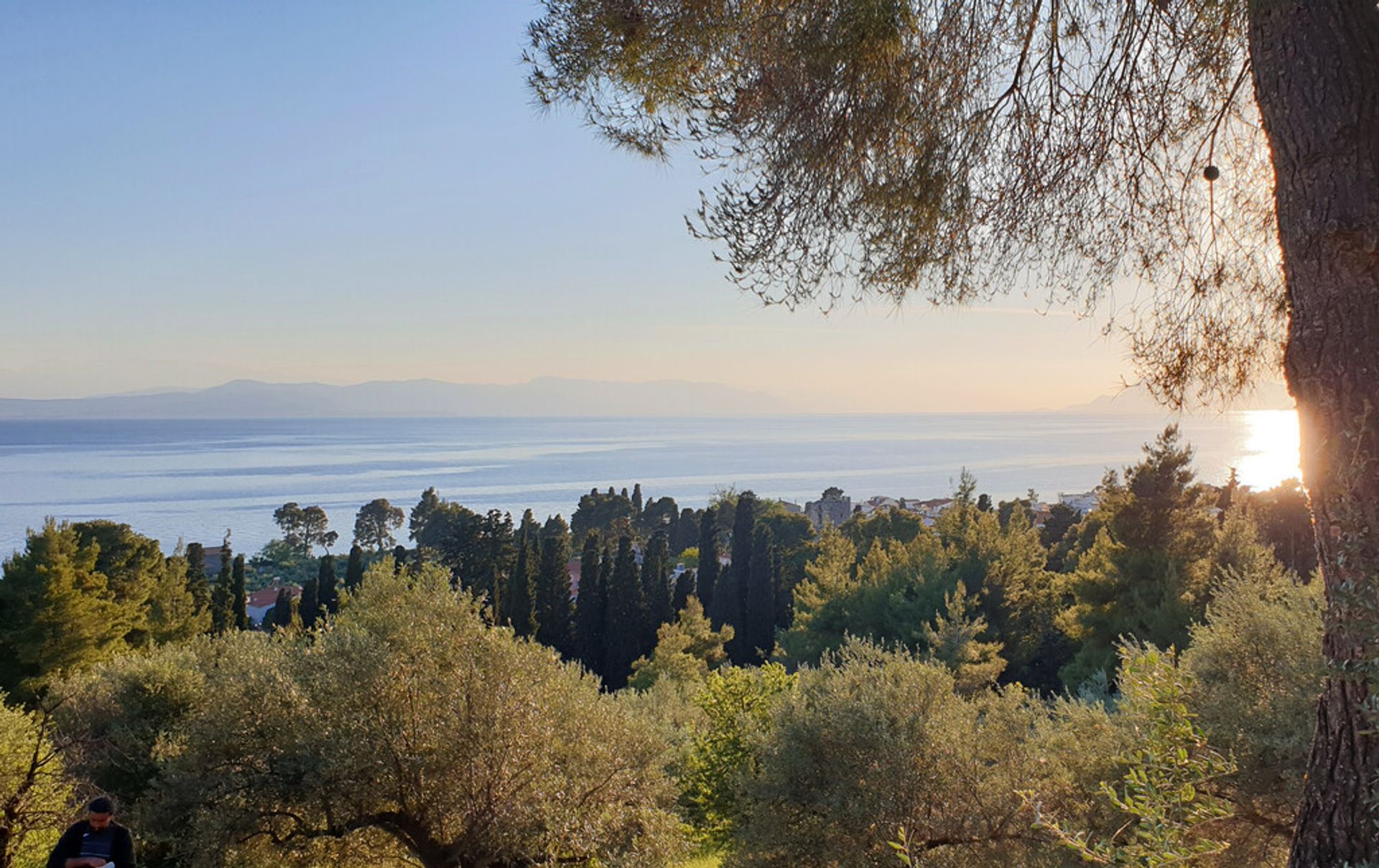 Γη σε Λίμνη, Στερεά Ελλάδα 11413963