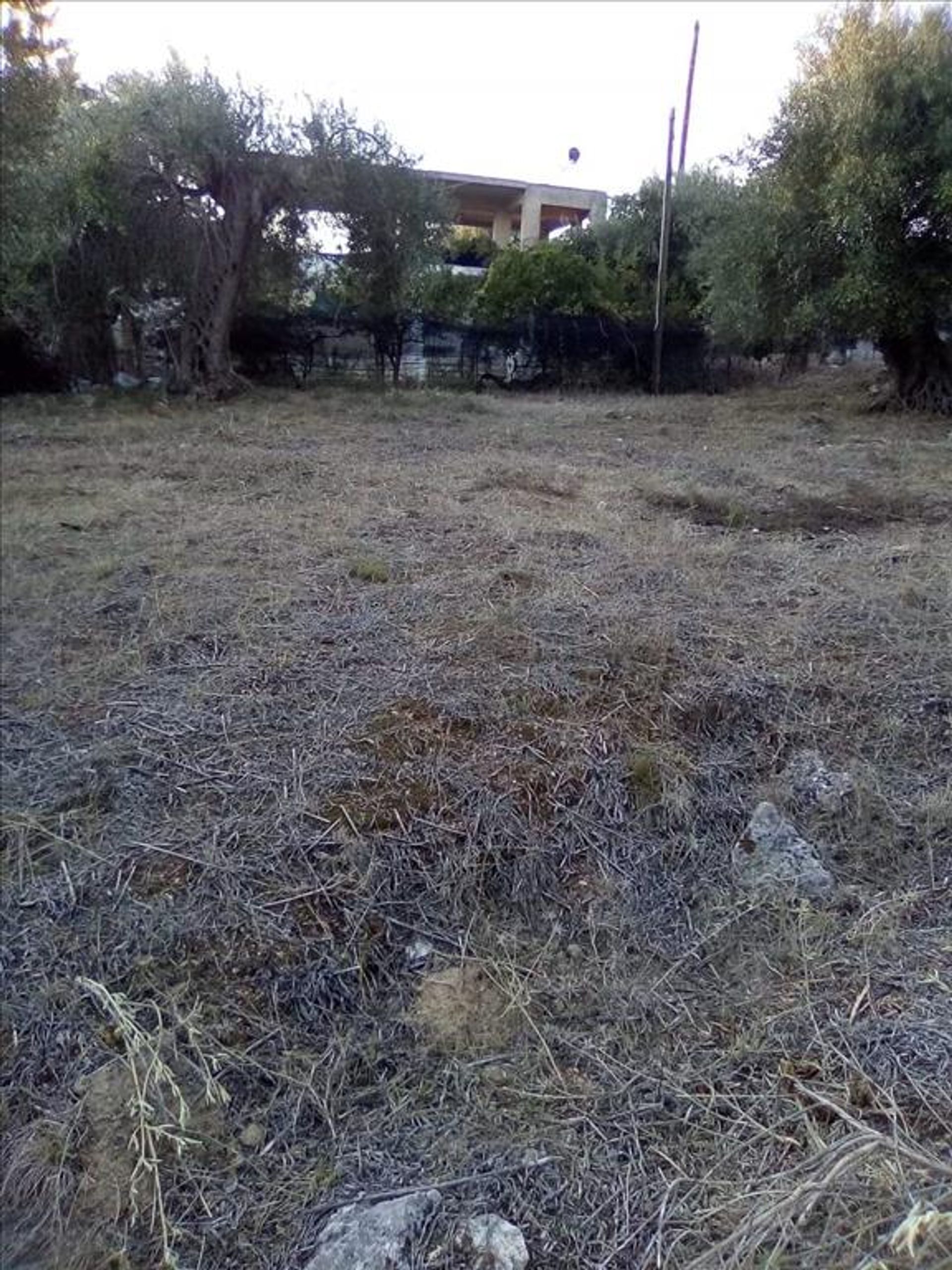 Tierra en Syvota,  11413995