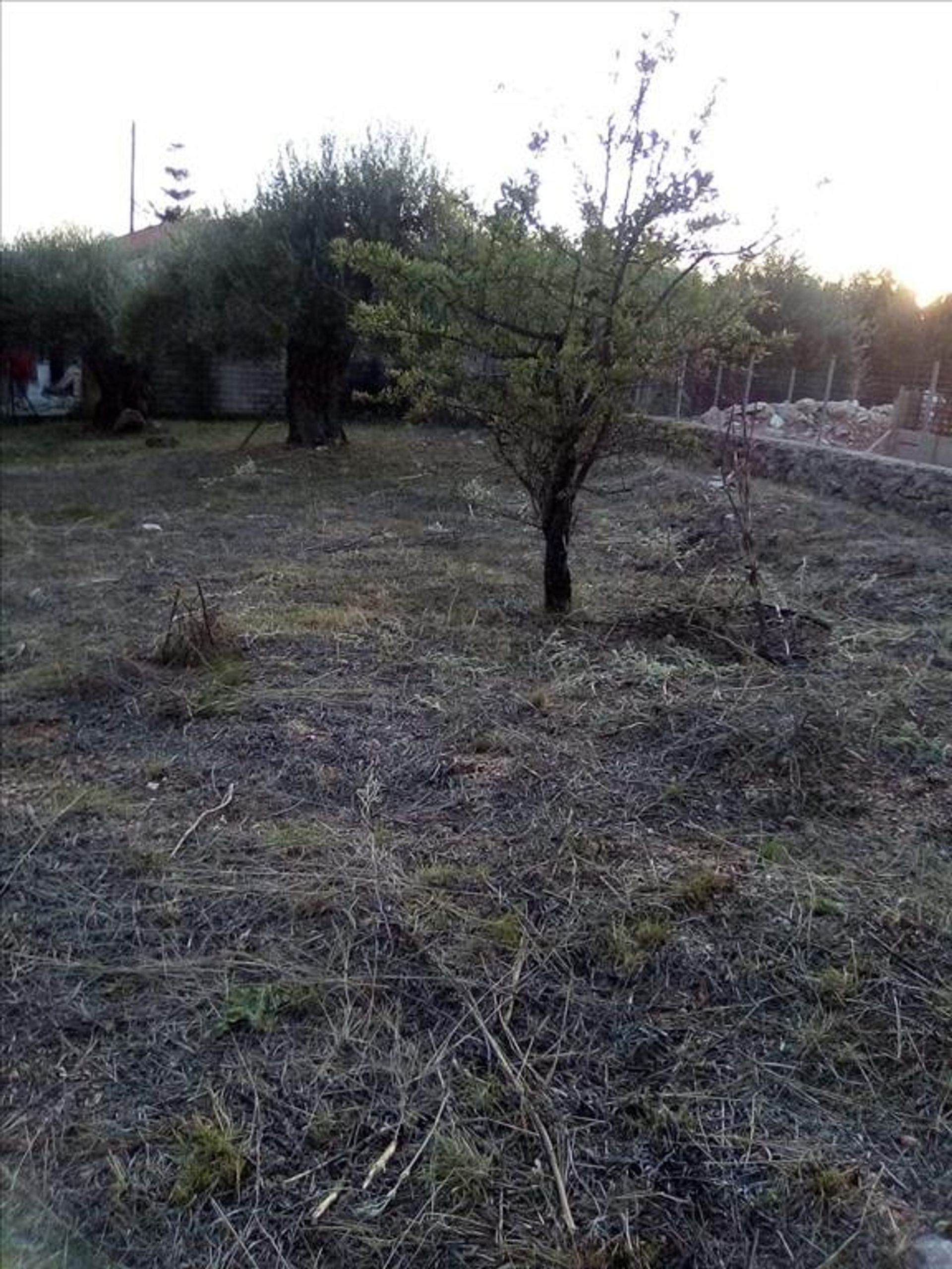 Tierra en Syvota,  11413995