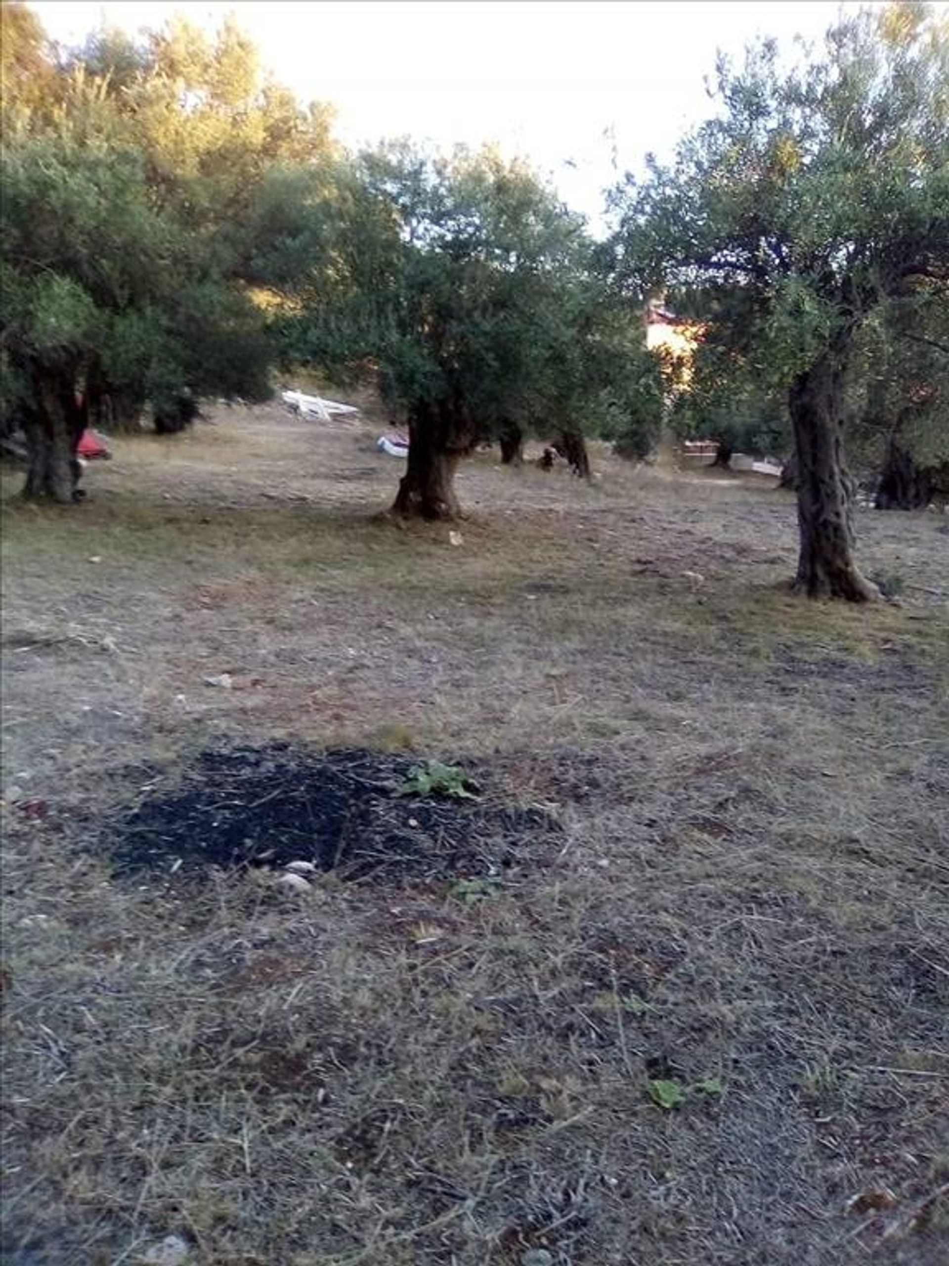 Land i Syvota,  11413995