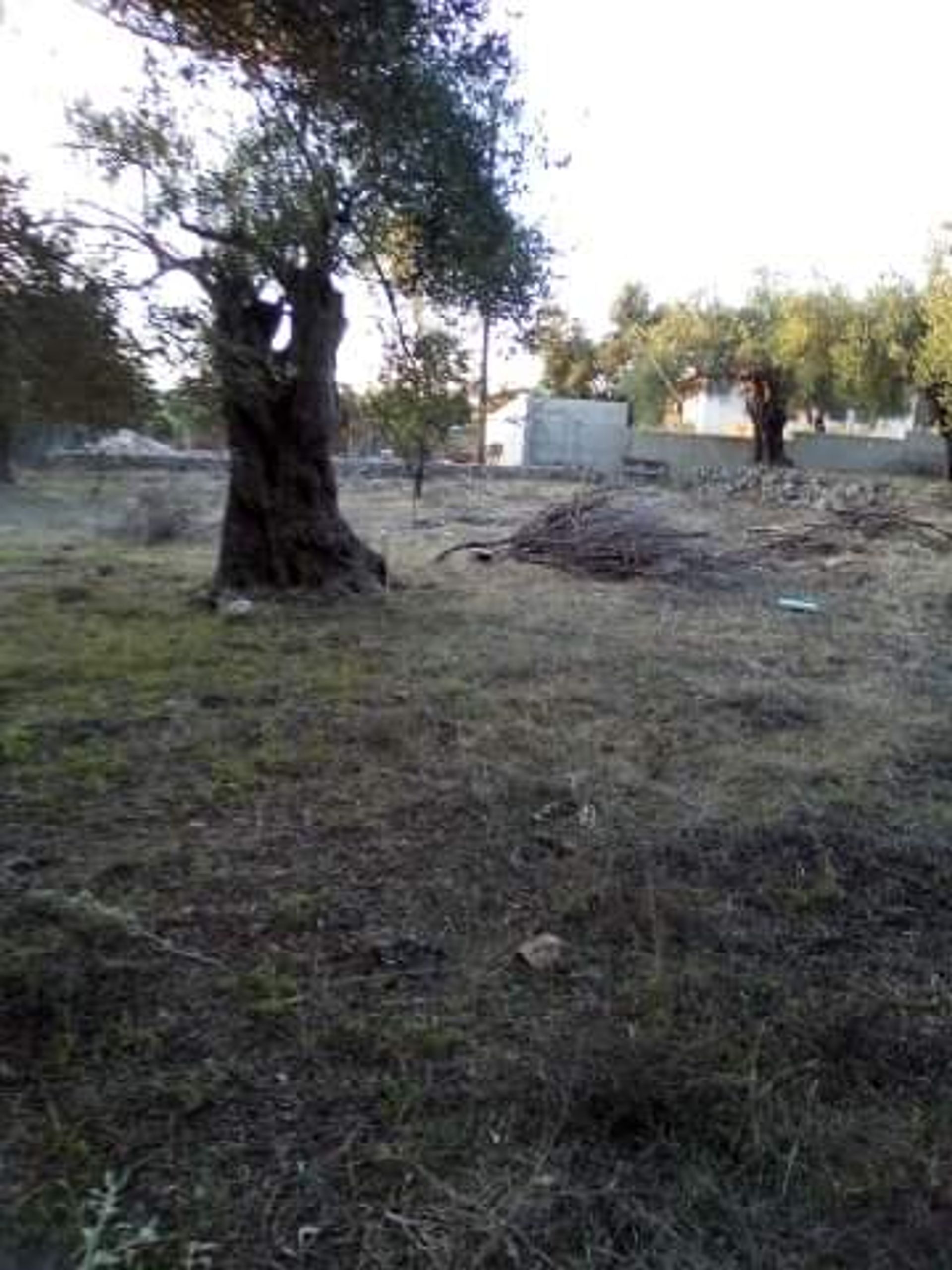 Tierra en Syvota,  11413995