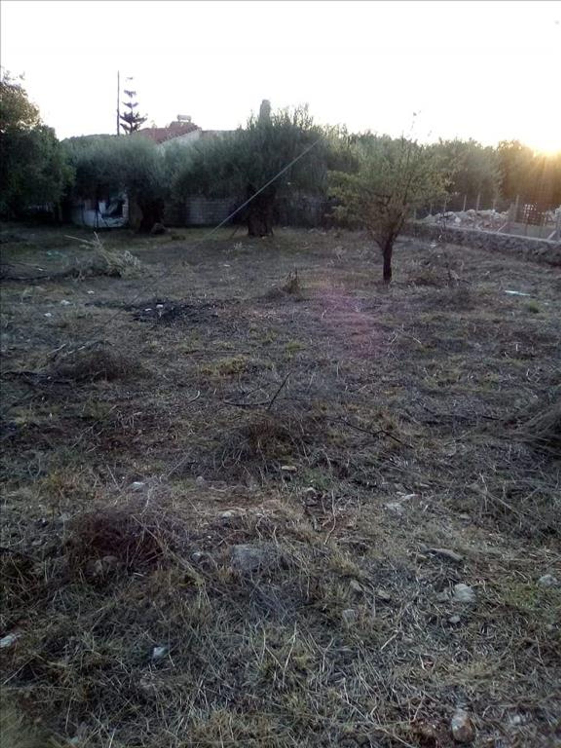 Land i Syvota,  11413995