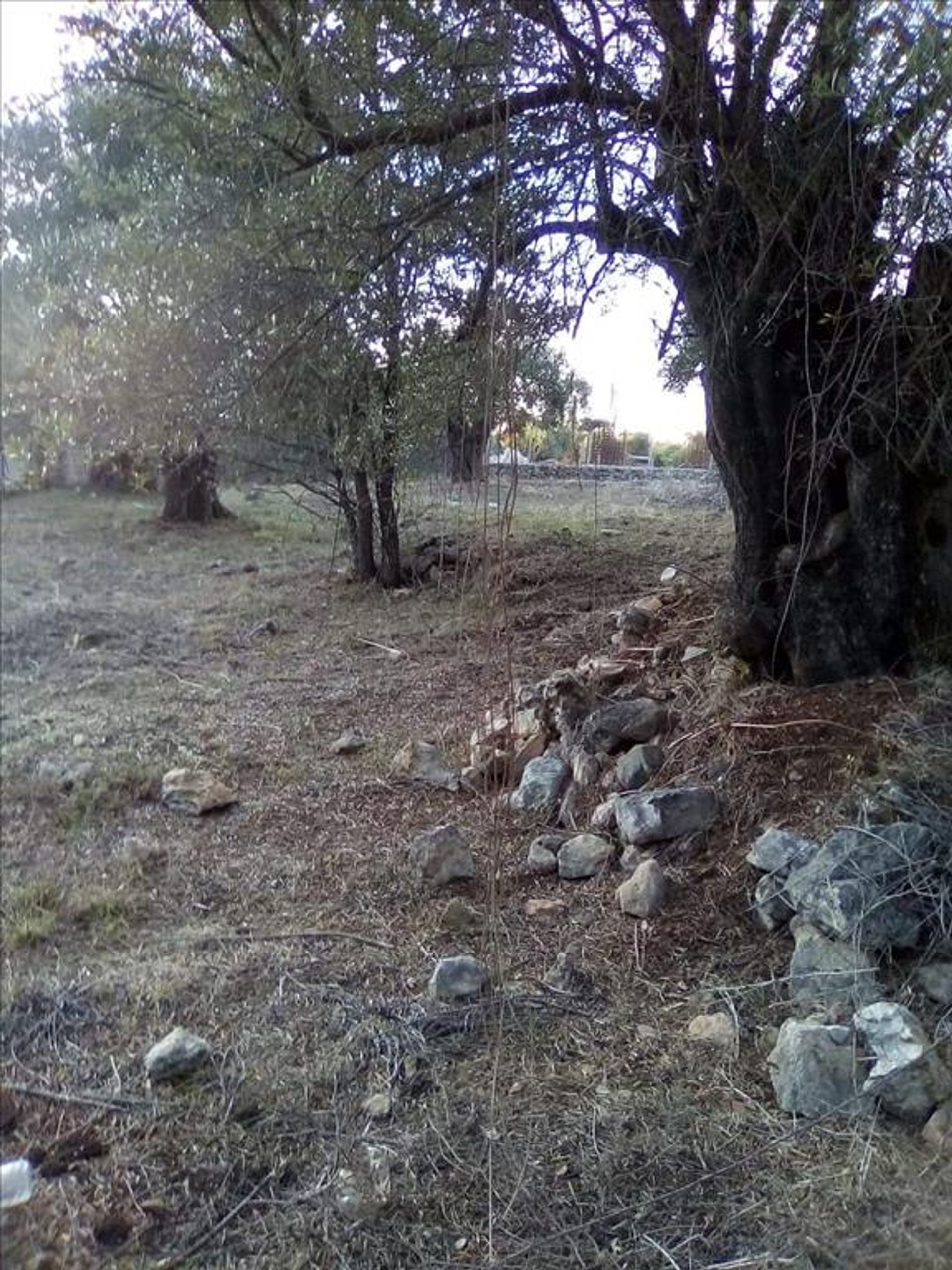 Land i Syvota,  11413995