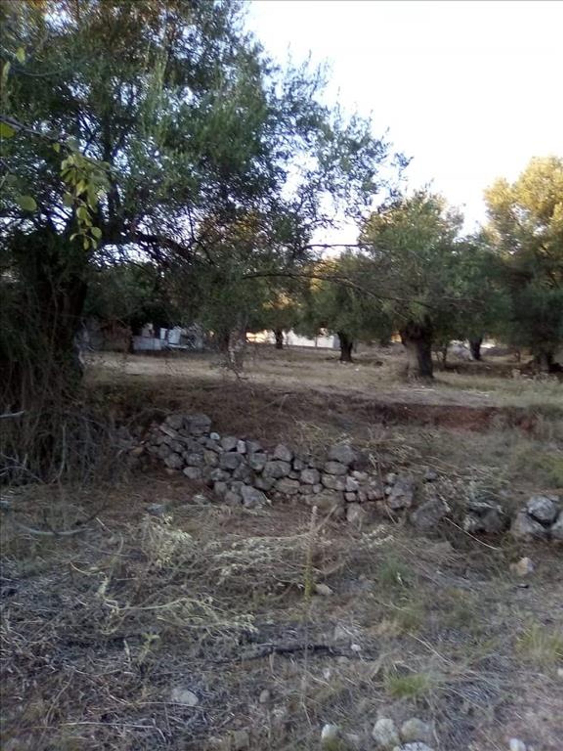 Land i Syvota,  11413995