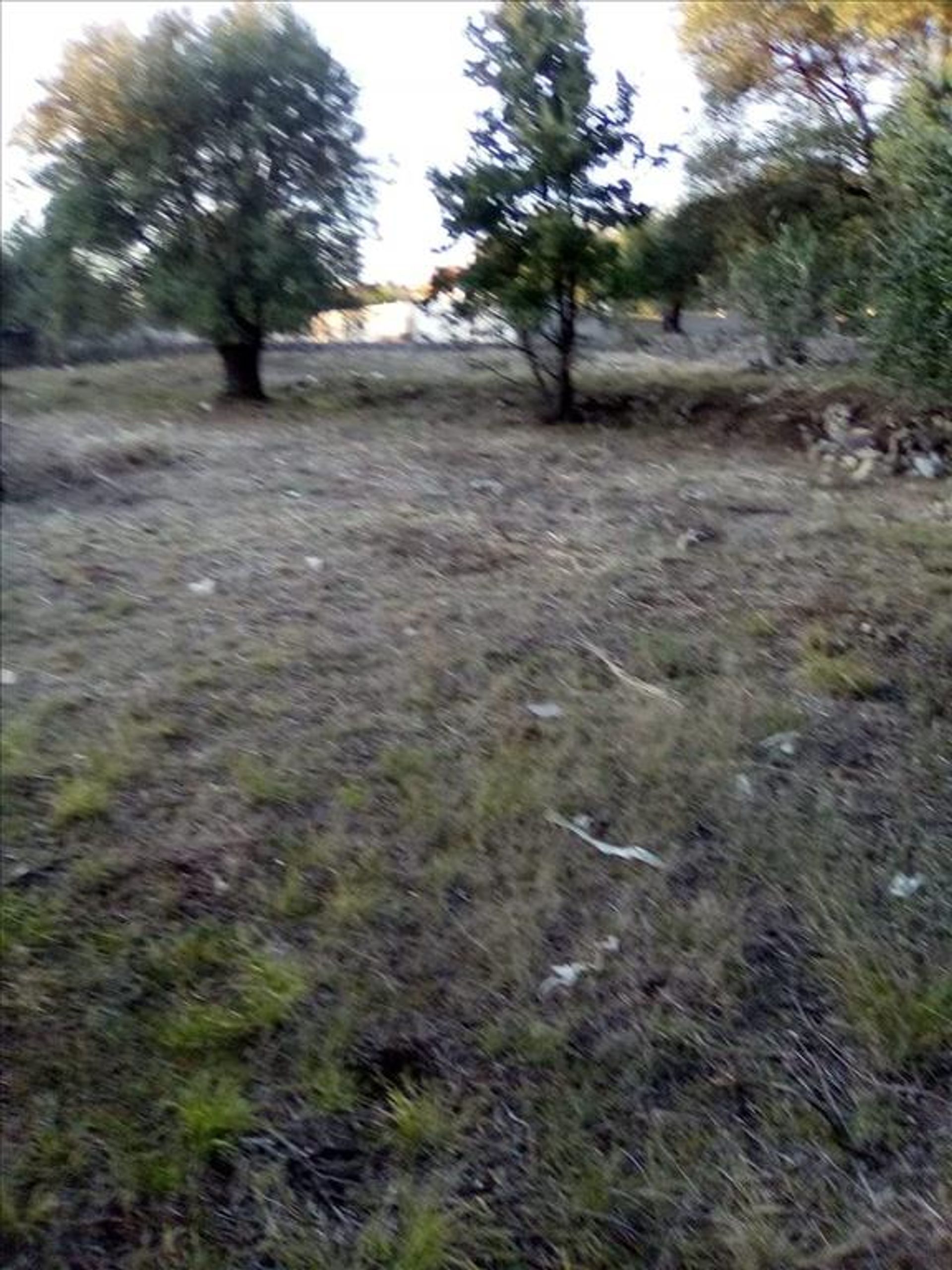 Land i Syvota,  11413995