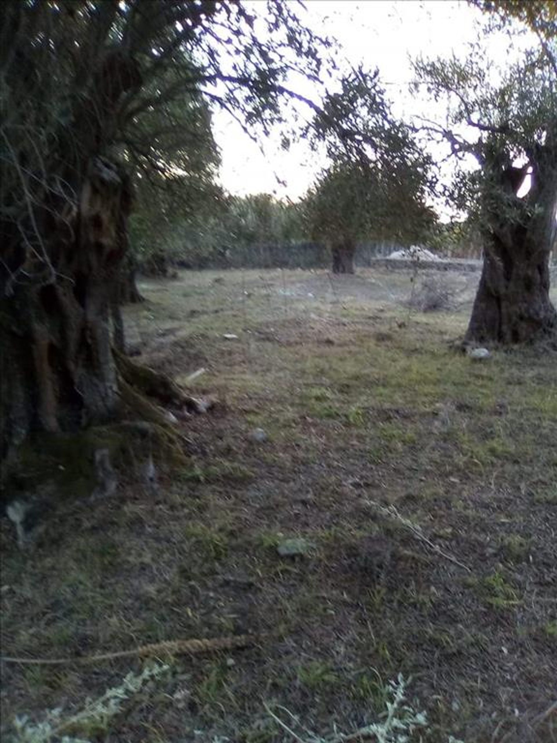 Land i Syvota,  11413995