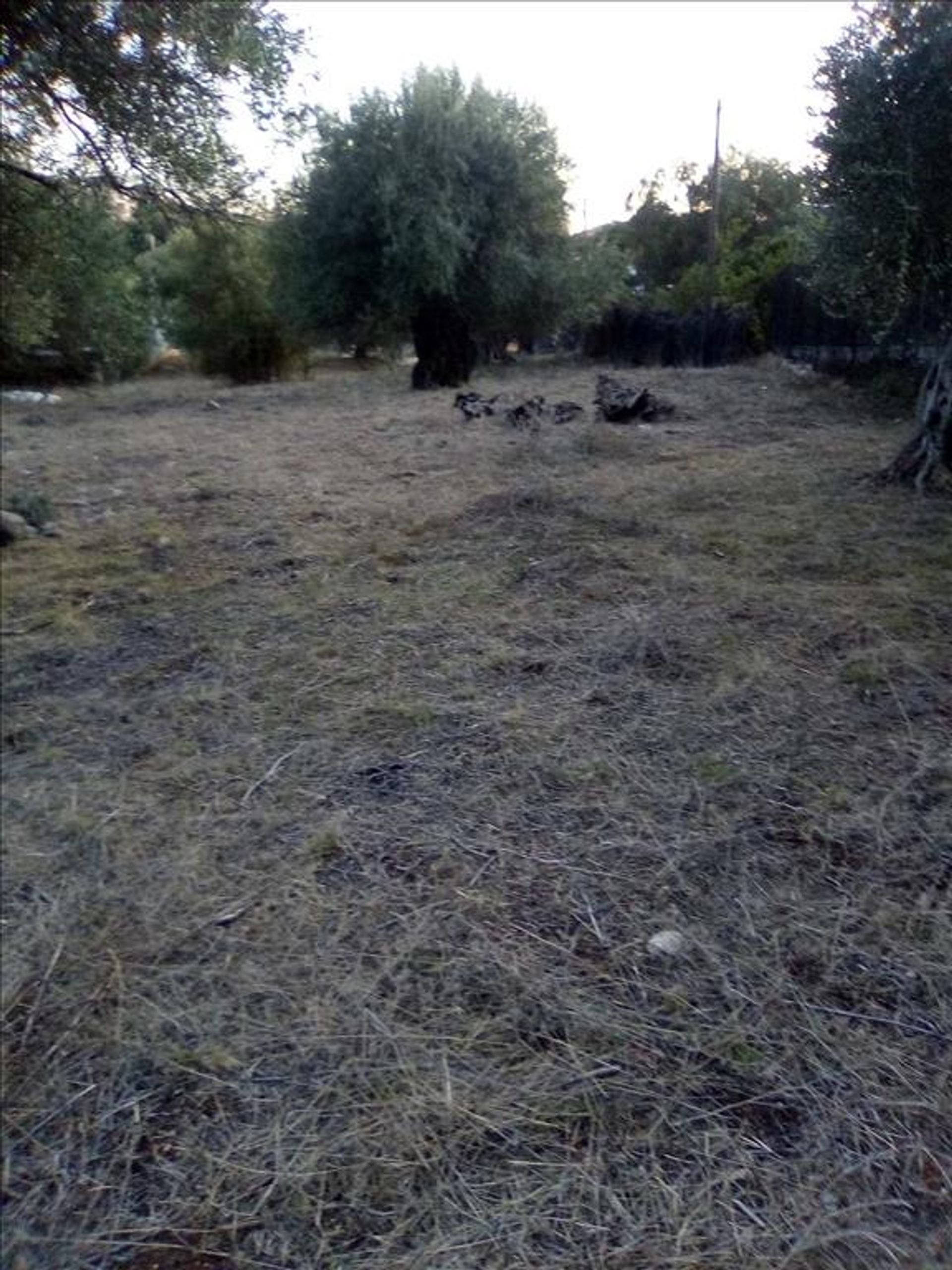 Land i Syvota,  11413995