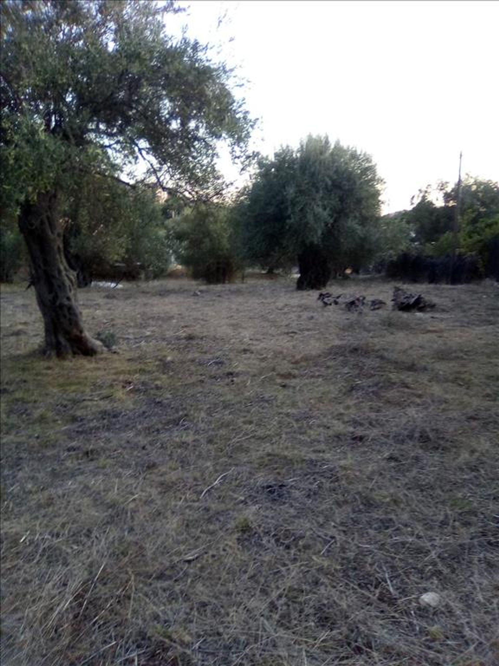 Tierra en Syvota,  11413995