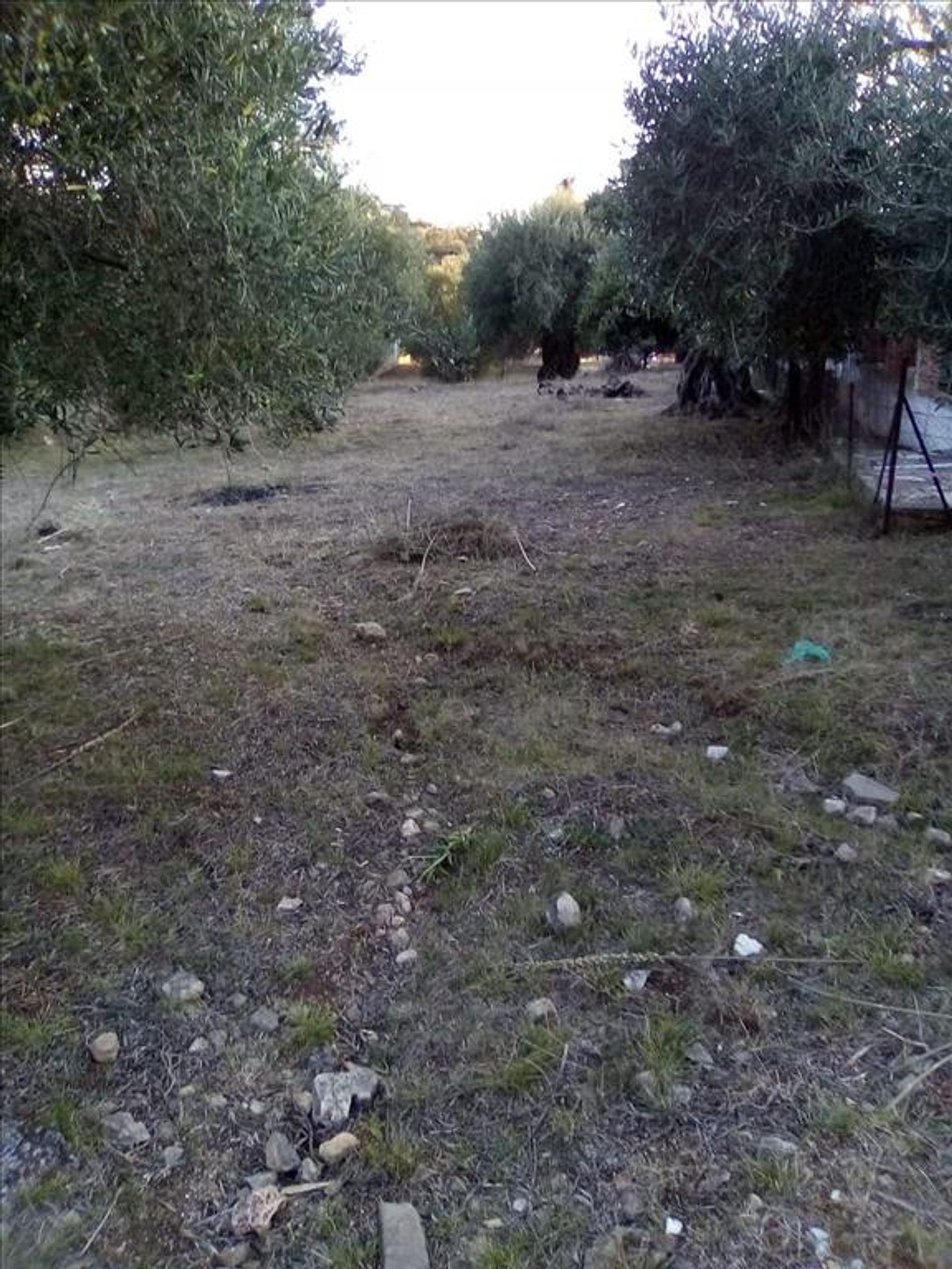 Tierra en Syvota,  11413995