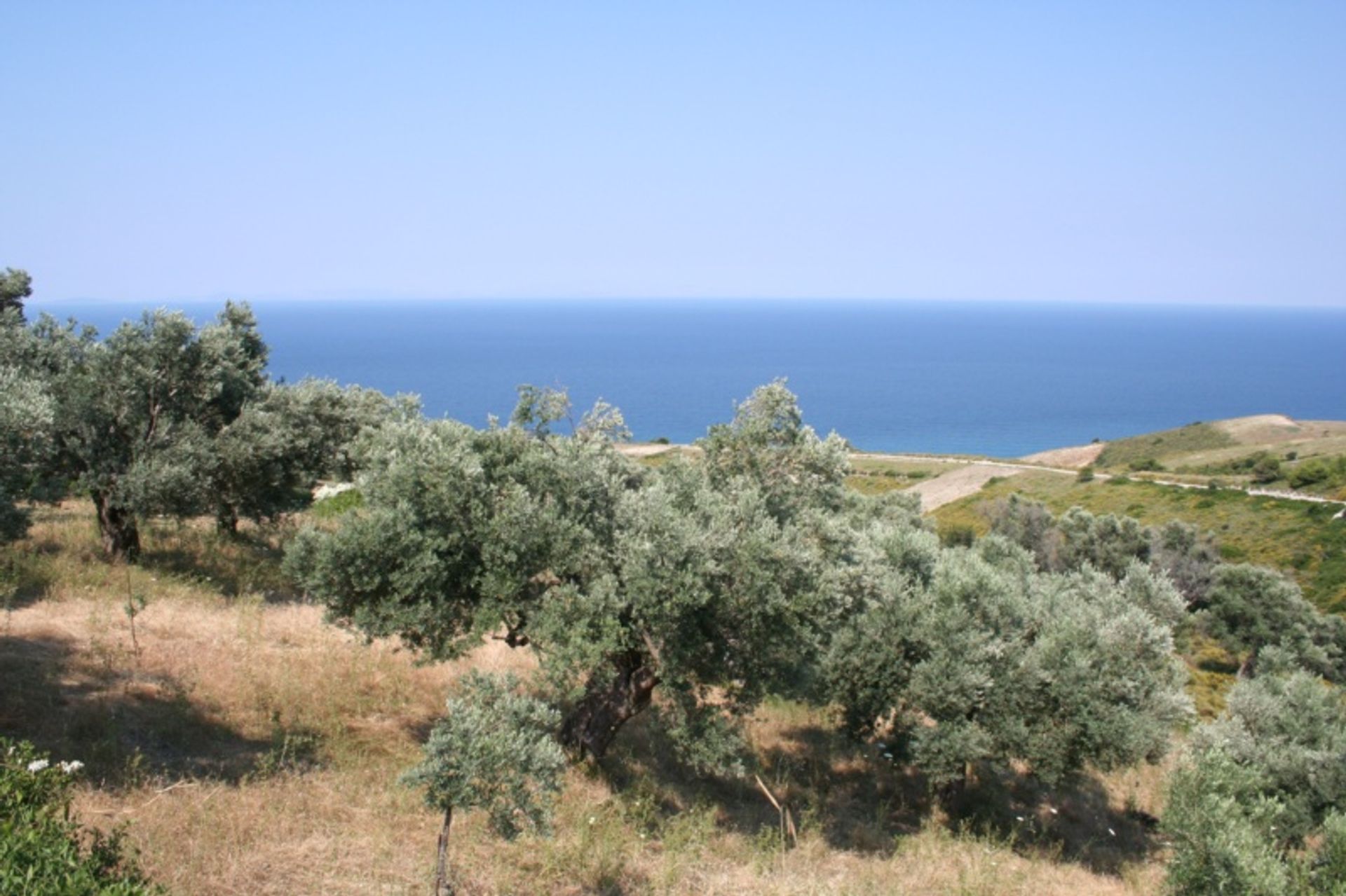 Land i Eretria, Sterea Ellada 11414173