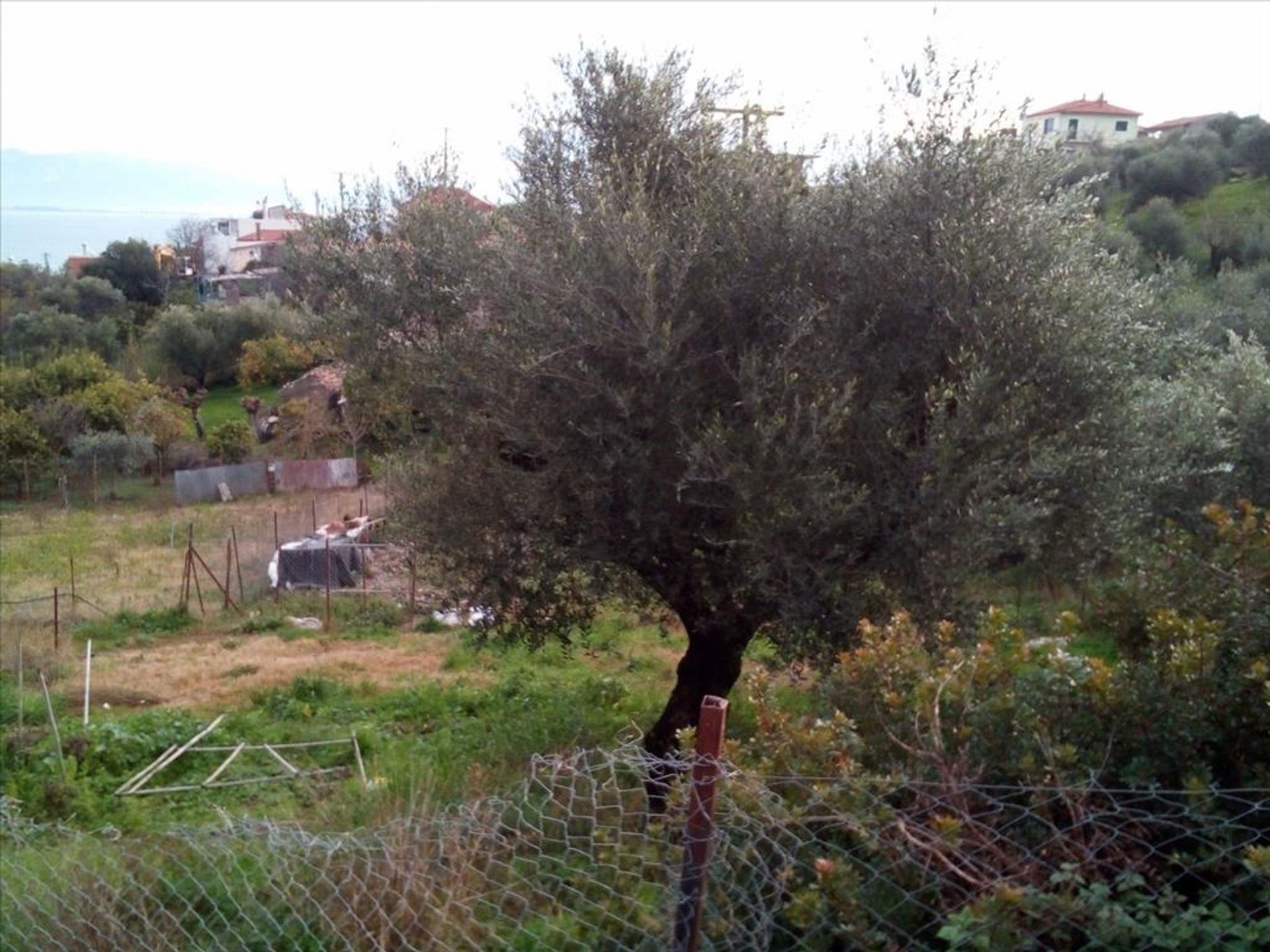 Land in Petalidi, Peloponnisos 11414978