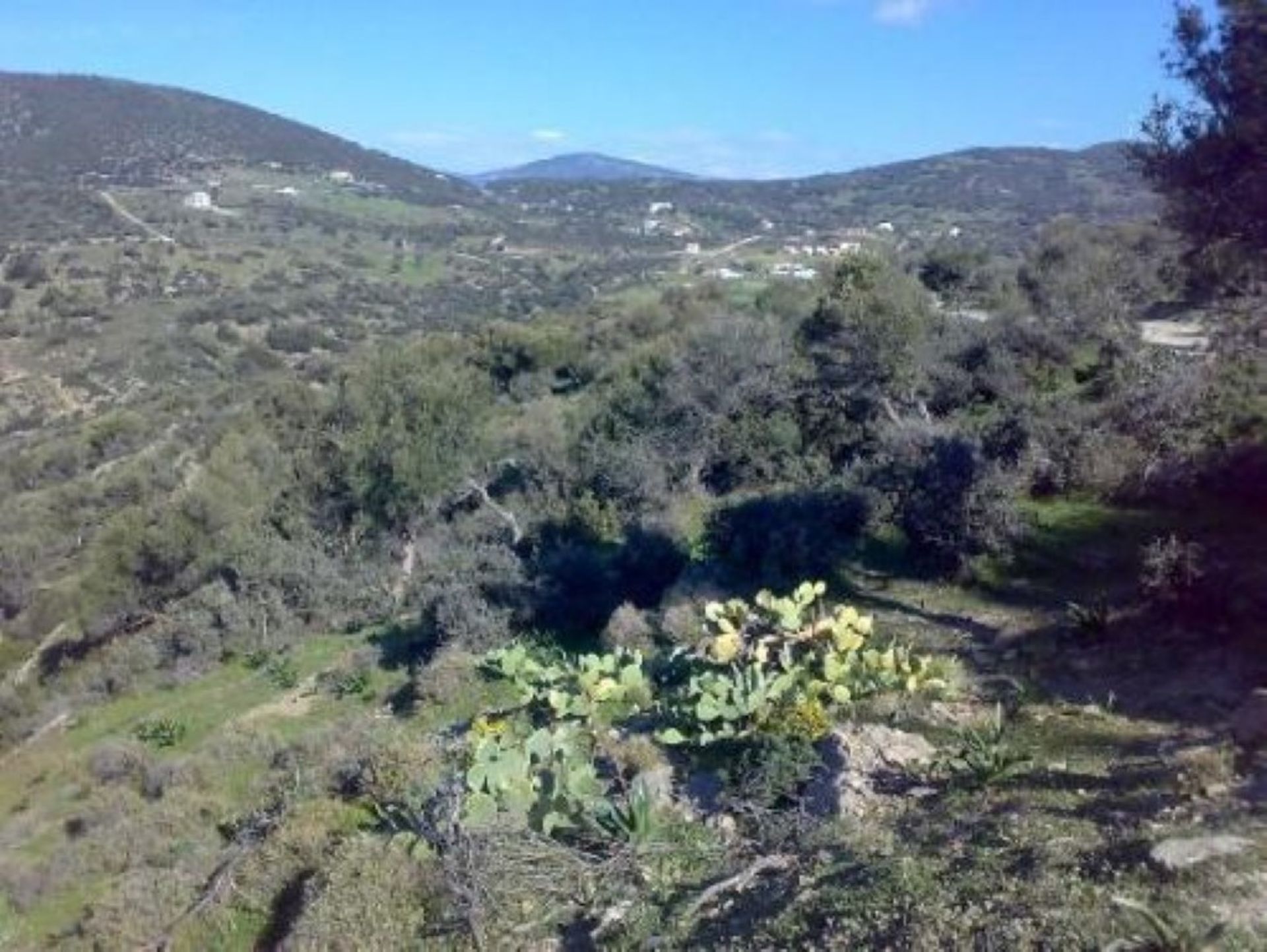 Land in Karystos, Sterea Ellada 11415040