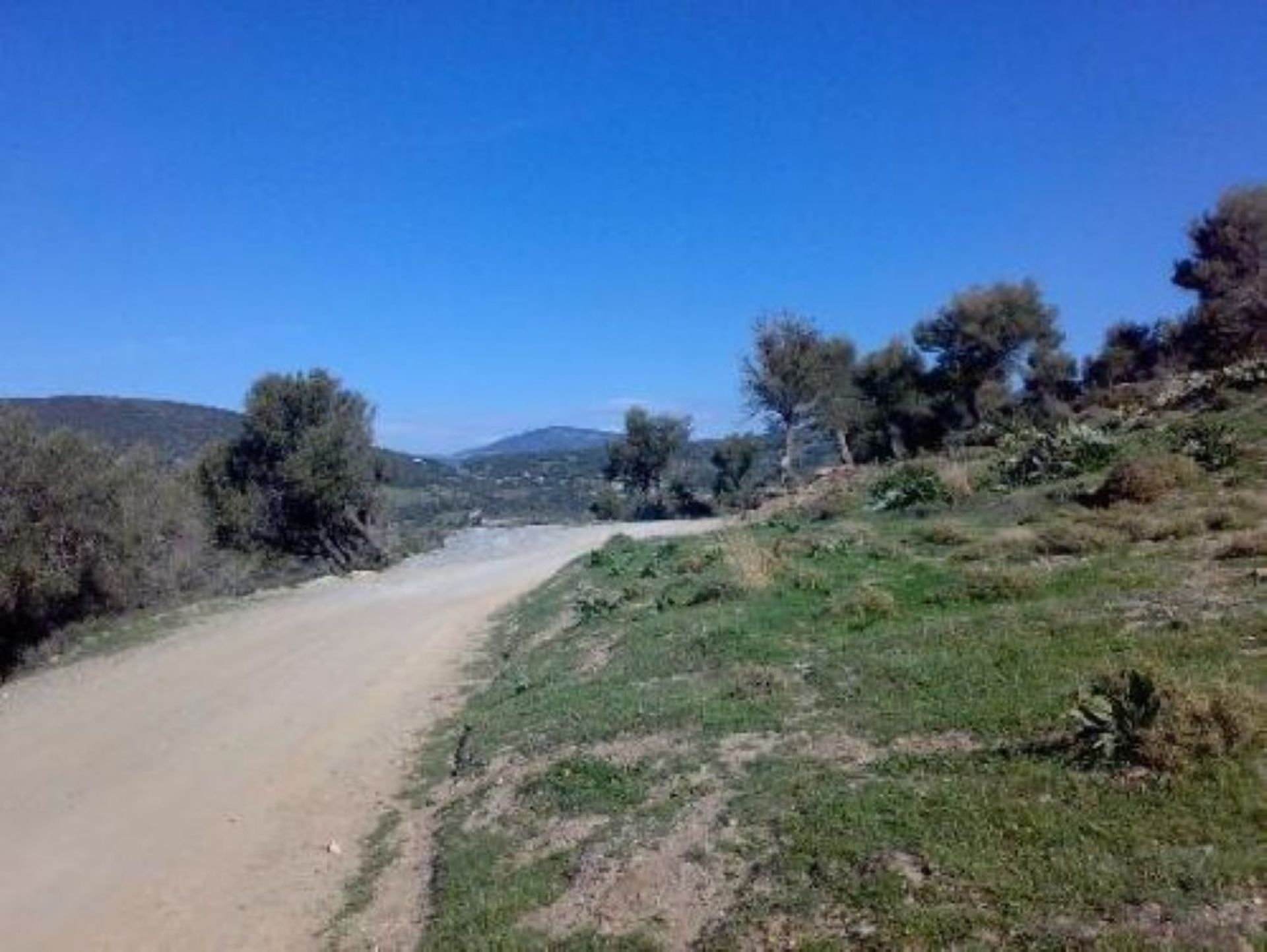 Land in Karystos, Sterea Ellada 11415040