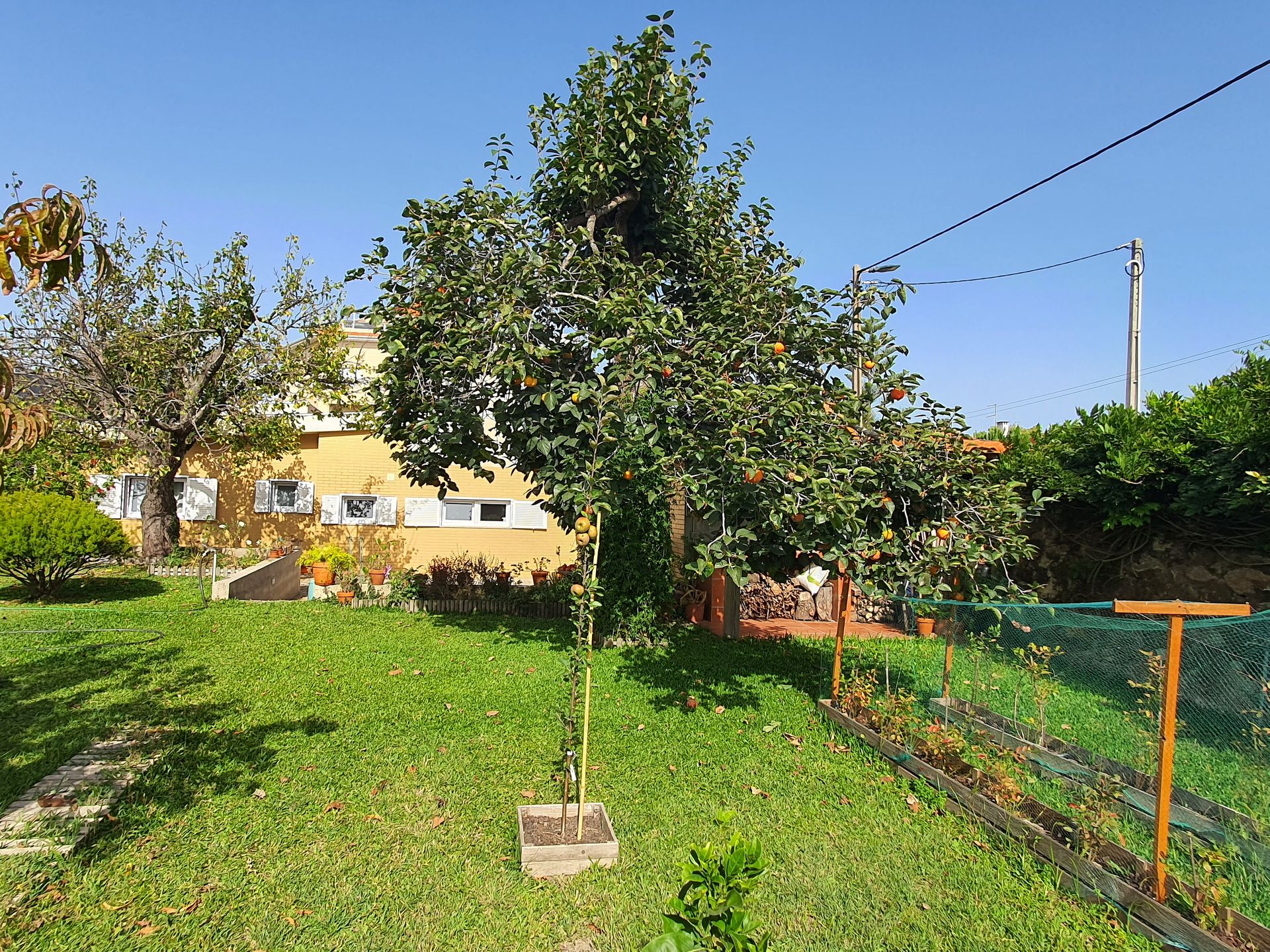 Dom w Vila Nova de Gaia, Rua Doutor Flórido Toscano 11415385