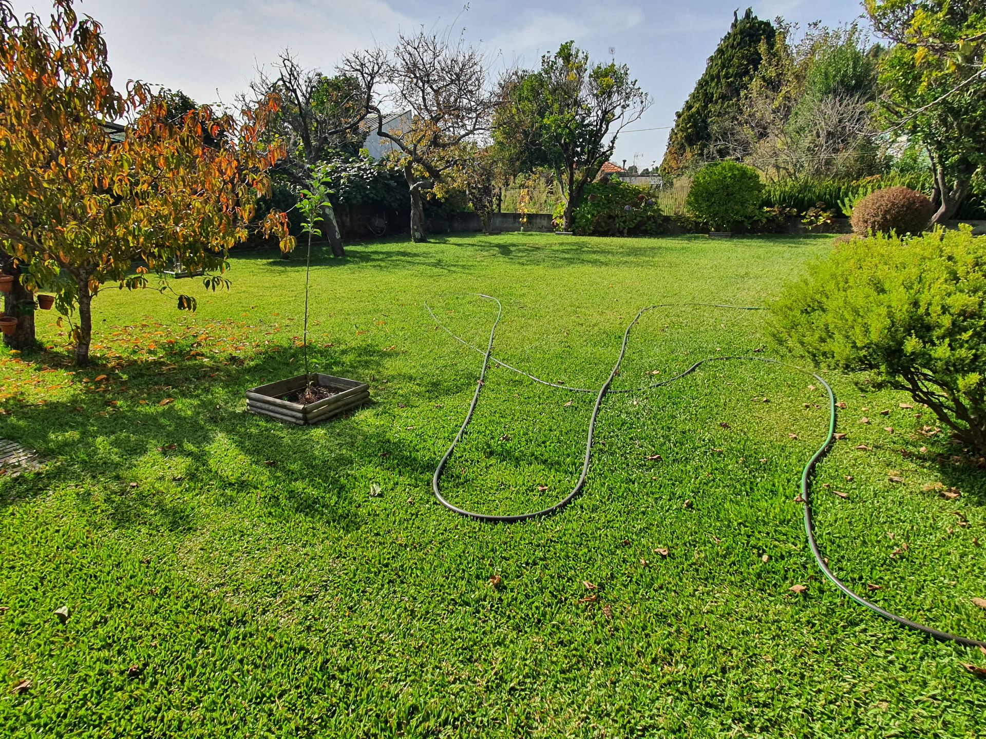 Rumah di Vila Nova de Gaia, Rua Doutor Flórido Toscano 11415385