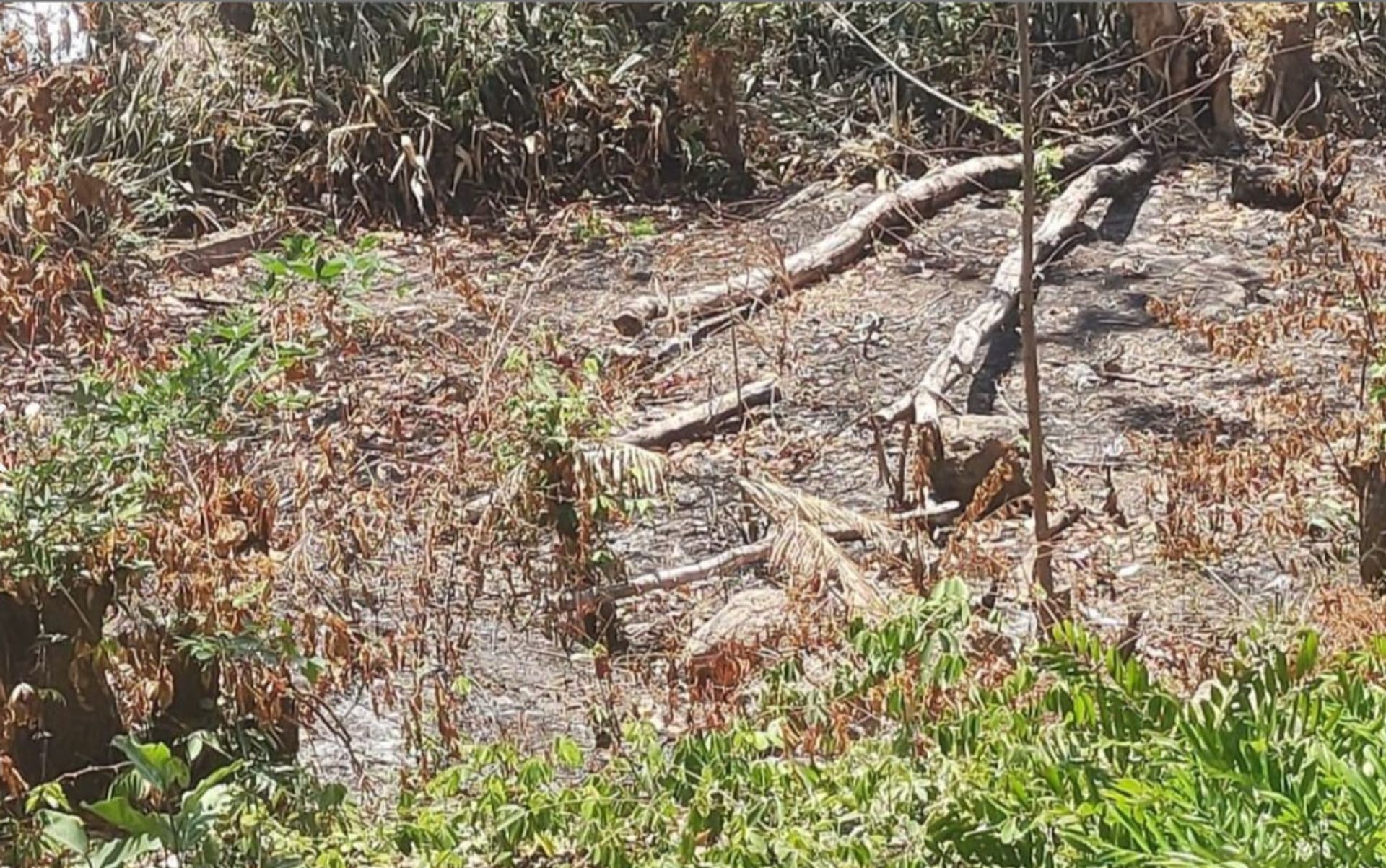 жилой дом в Lo de Marcos, Nayarit 11475405