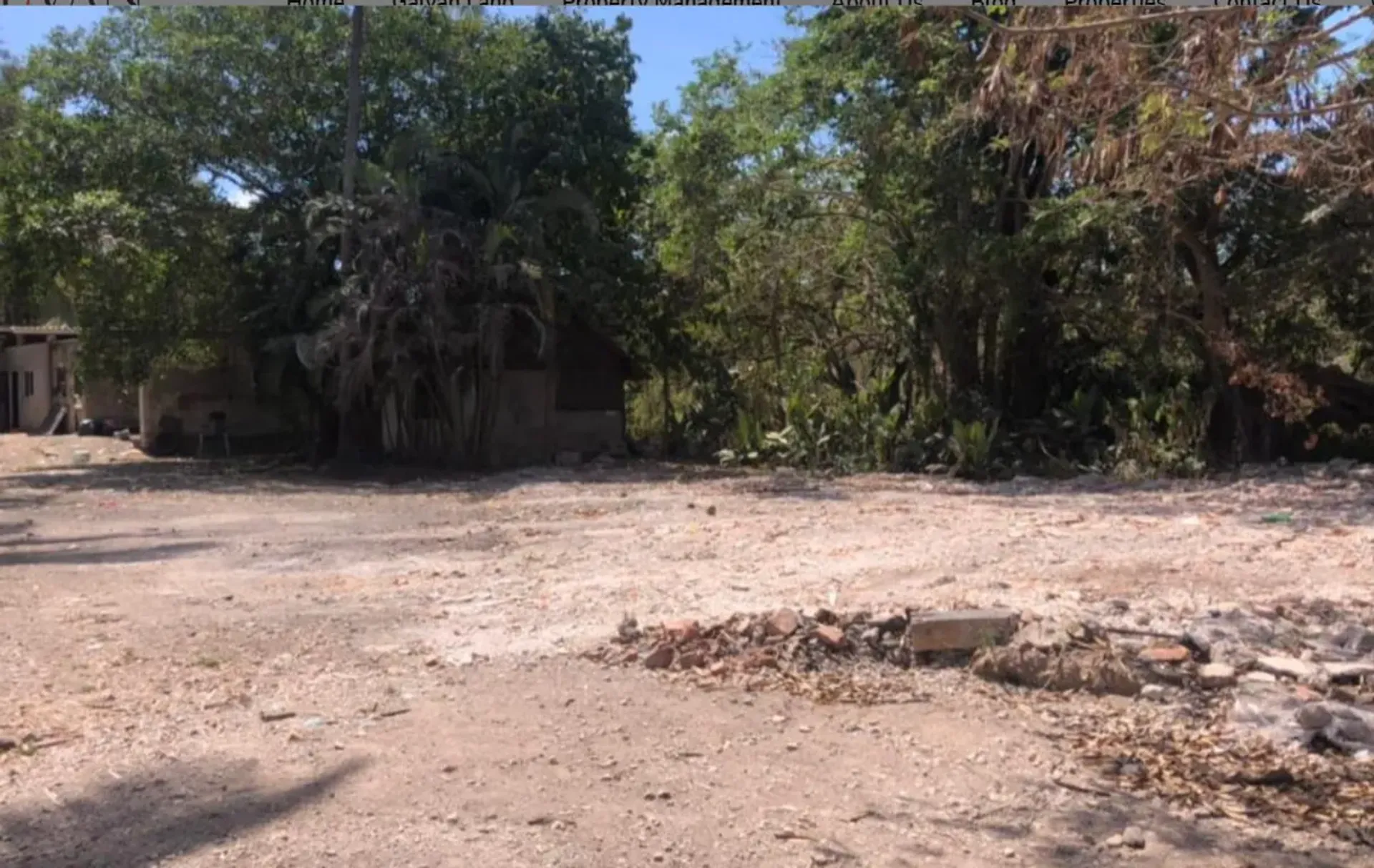 Land in San Francisco, Nayarit 11475412