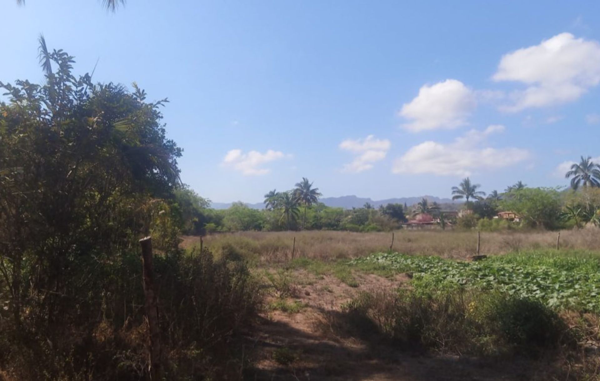 Terra no Lo de Marcos, La Venita 11475430