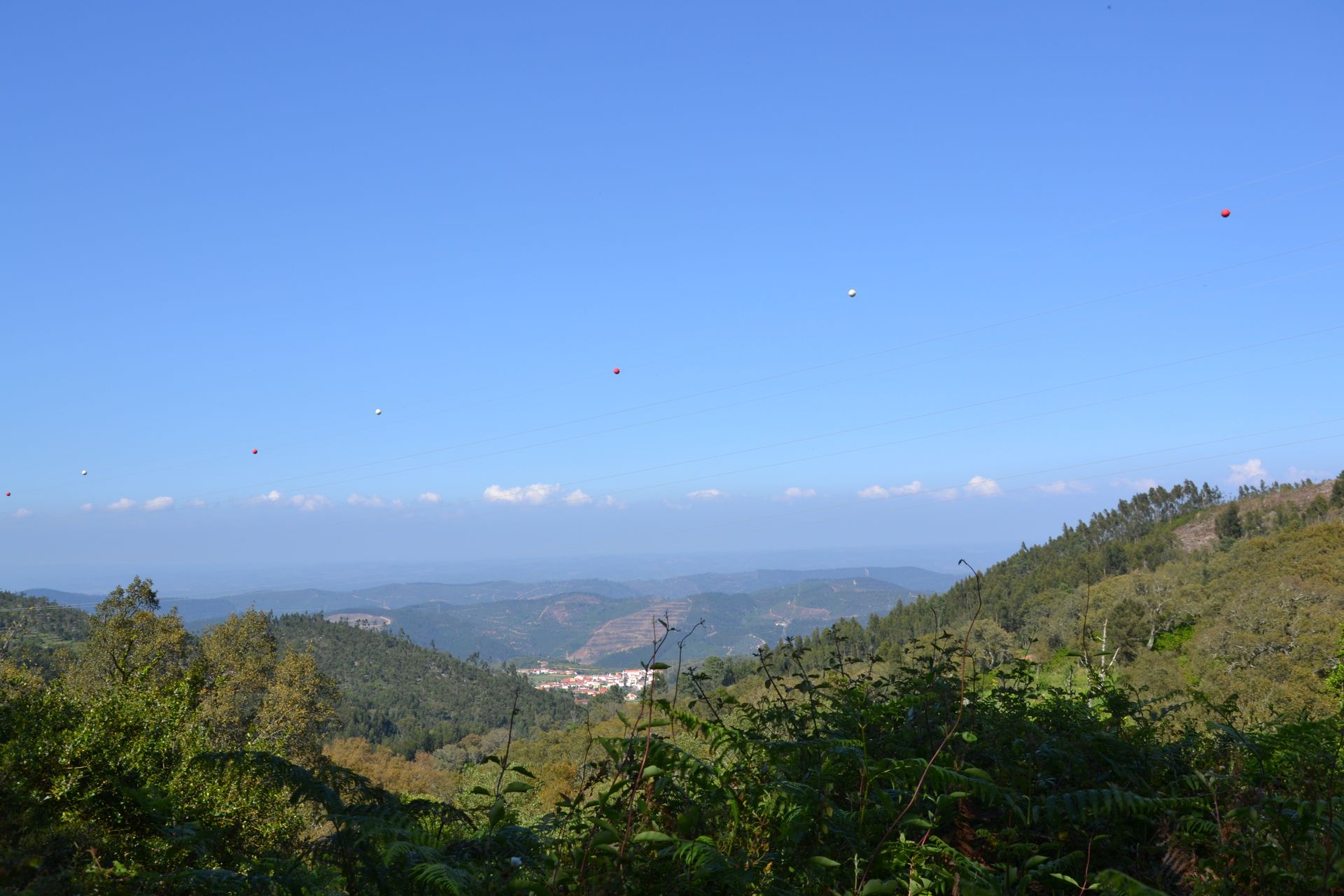 土地 在 谷, 法魯 11489361