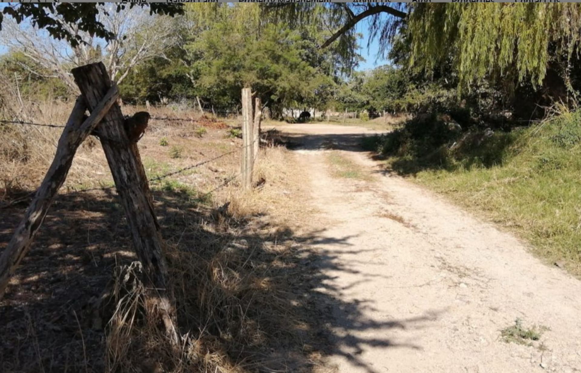 Terre dans Lo de Marcos, Colosio 11490034