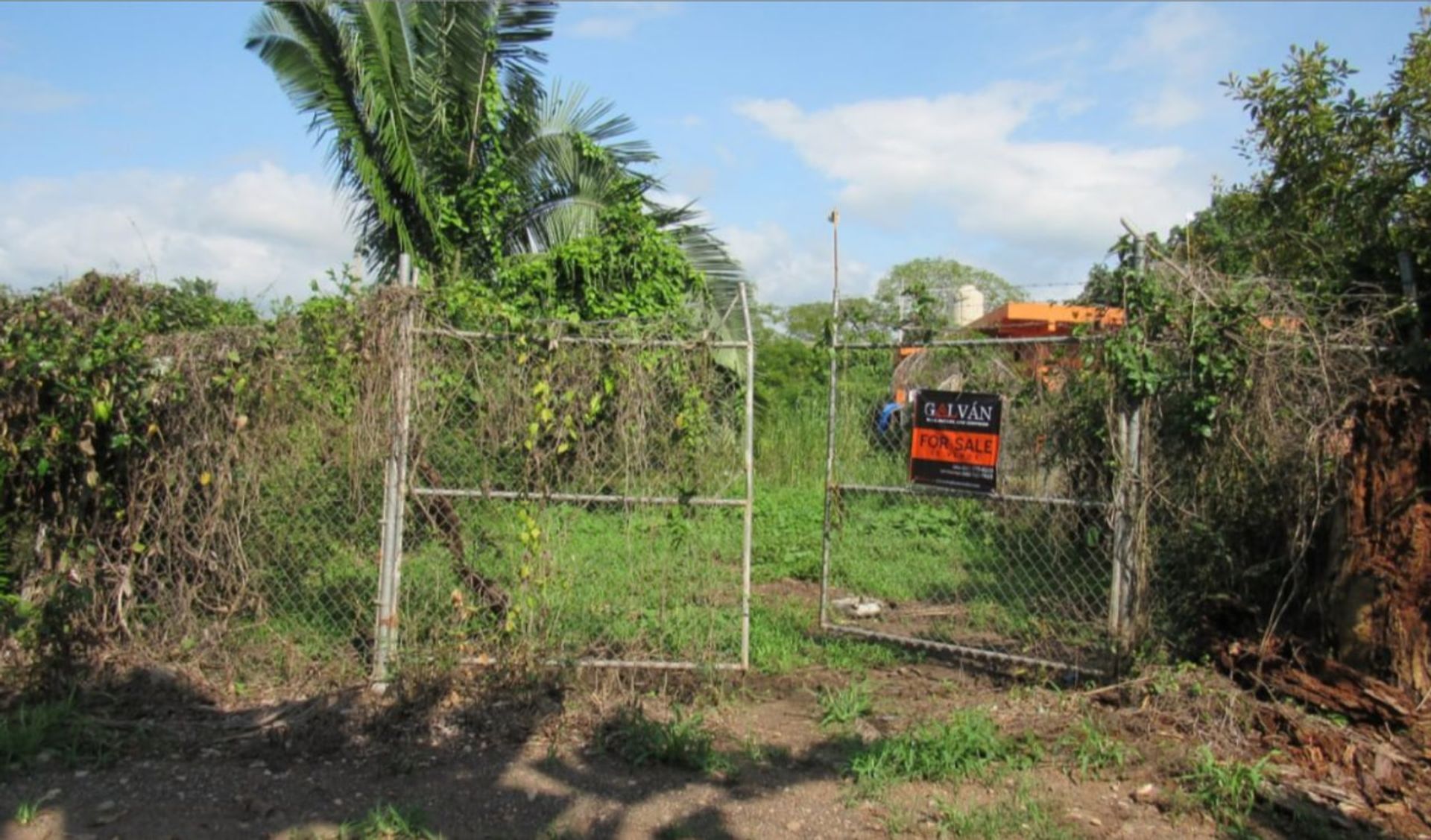 Land in San Francisco, Nayarit 11490042