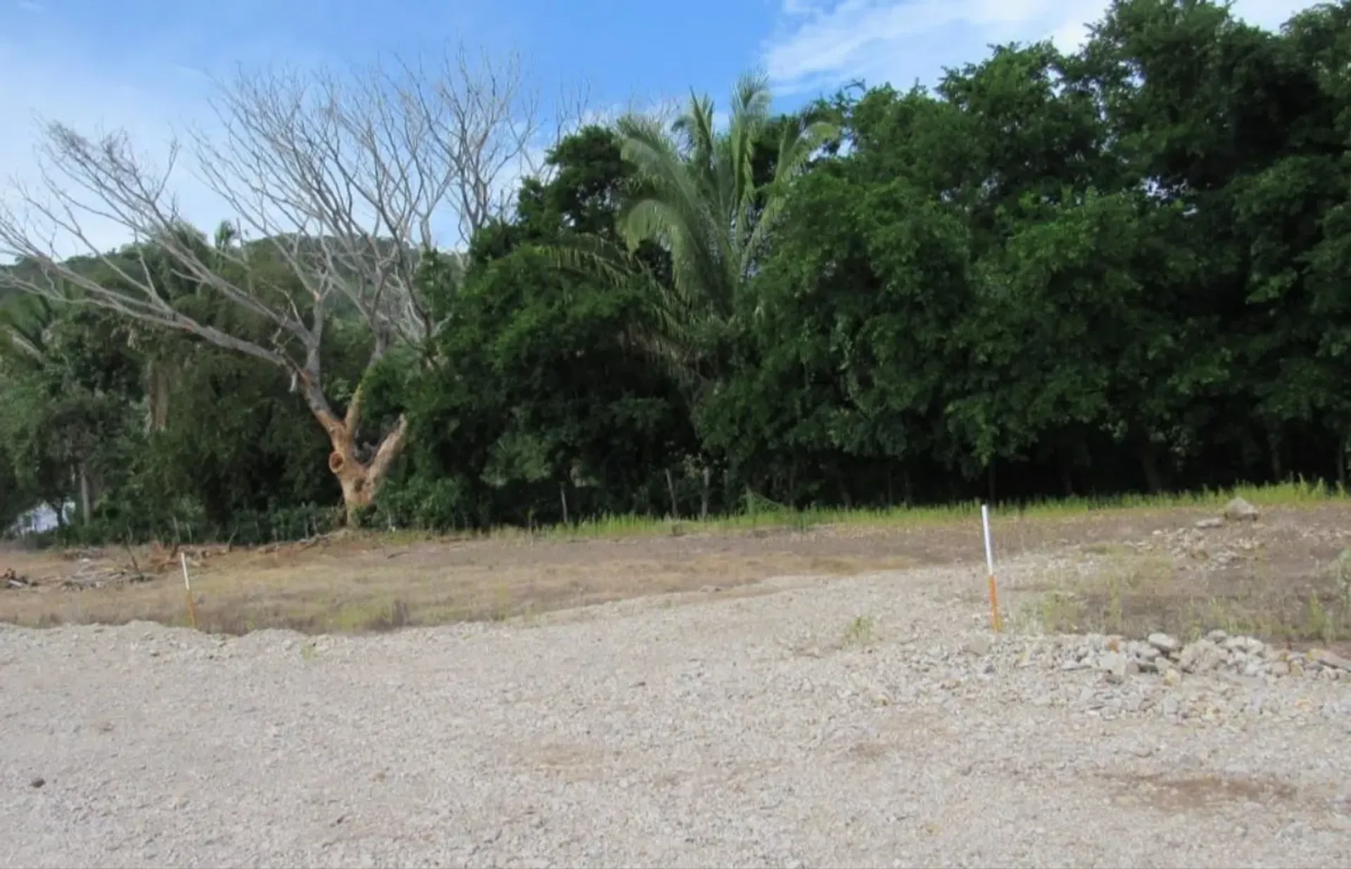 Земельные участки в La Penita de Jaltomba, Guayabitos 11490054