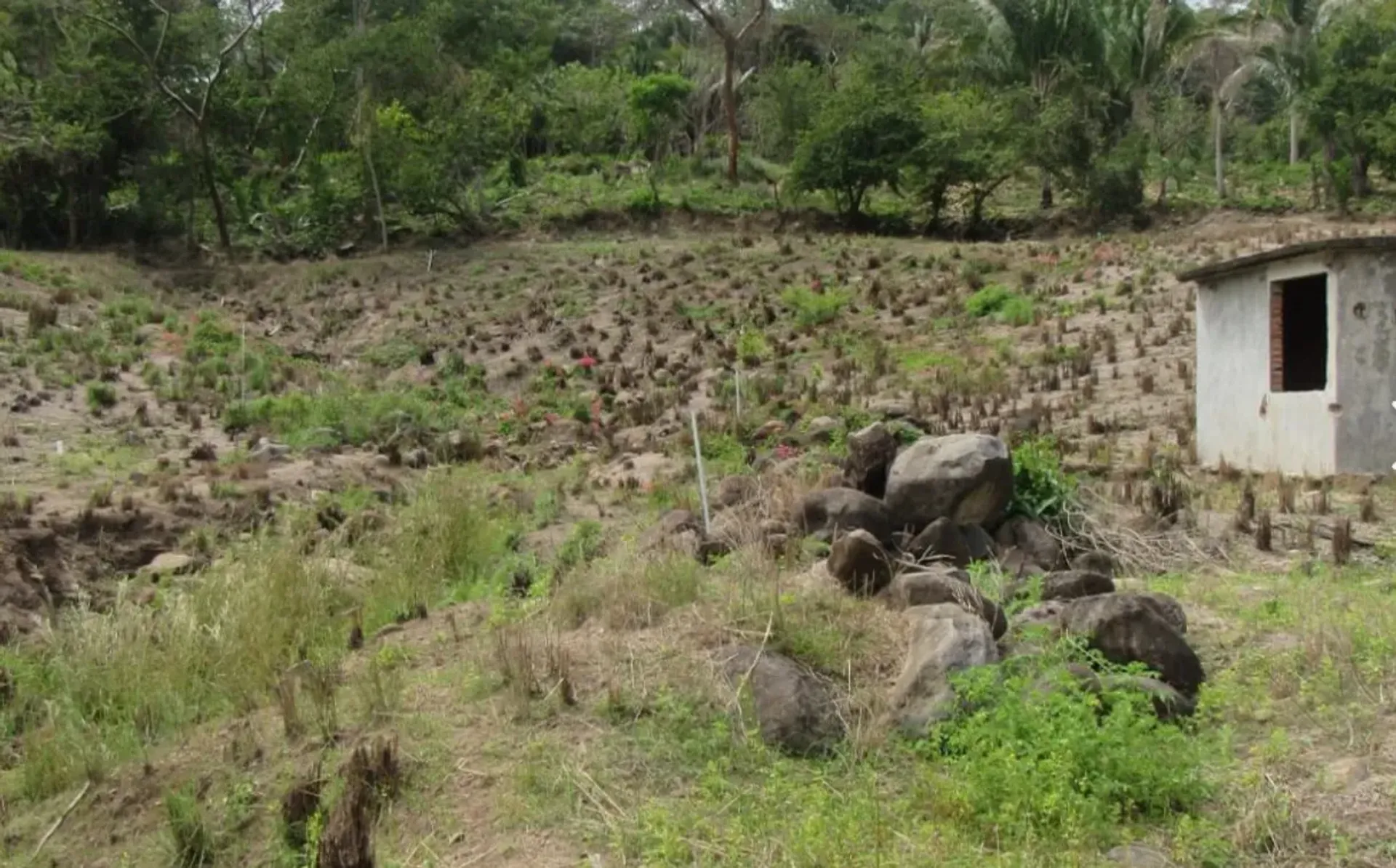 Land in La Penita de Jaltomba, Guayabitos 11490056