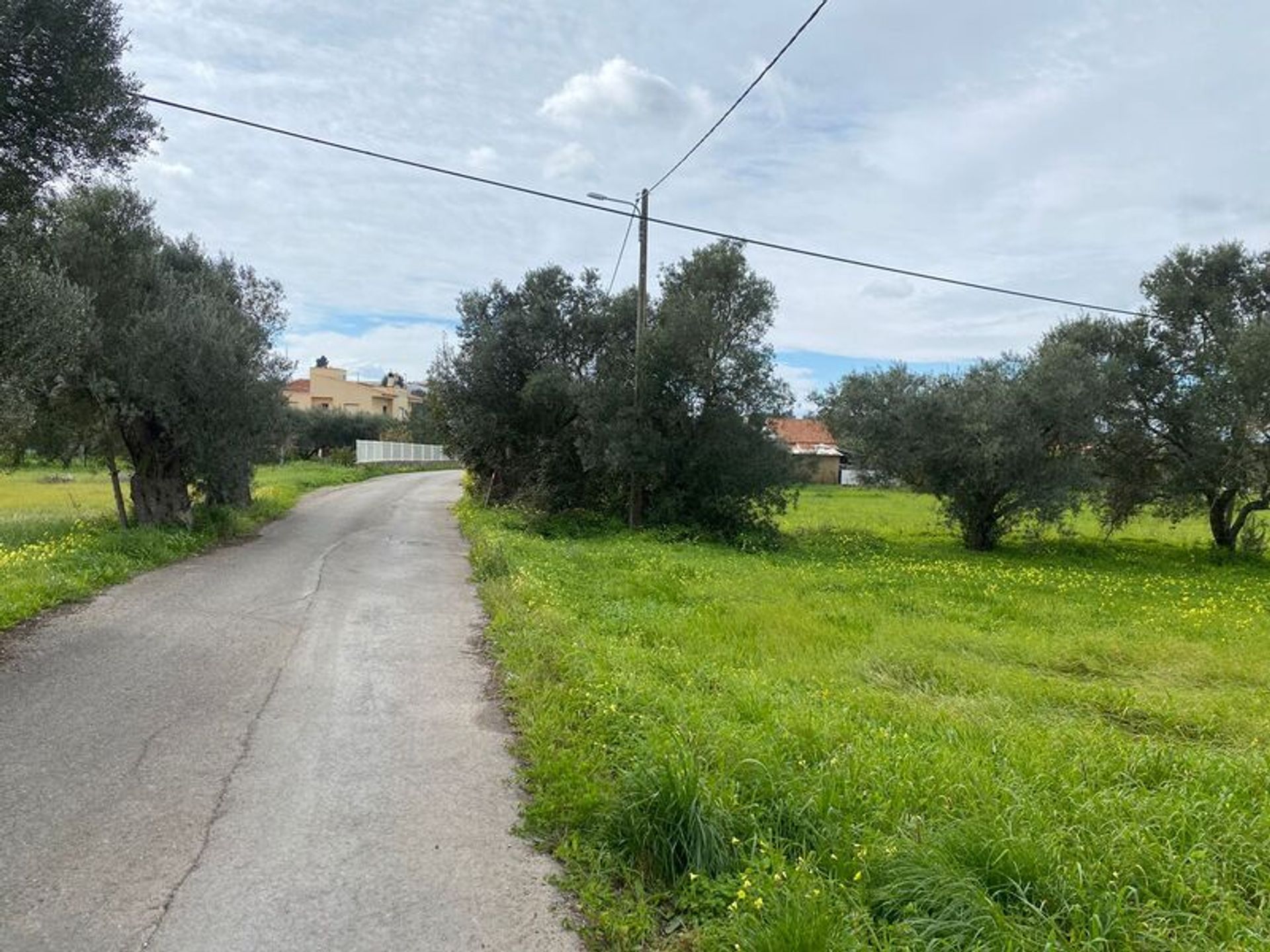 Tierra en São Brás de Alportel, Faro District 11490162