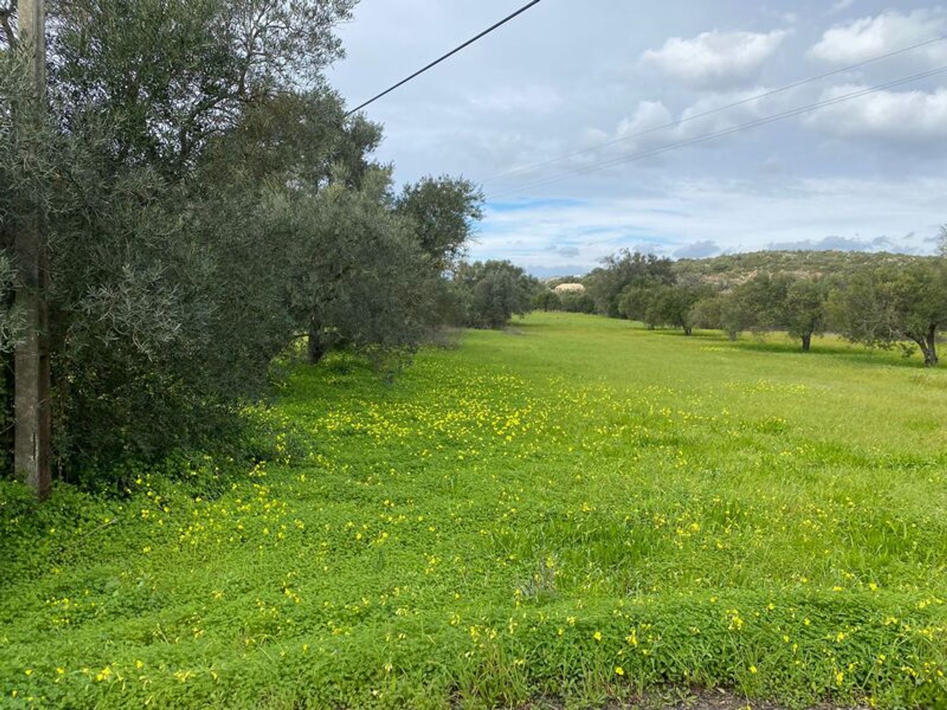 Tierra en São Brás de Alportel, Faro District 11490162