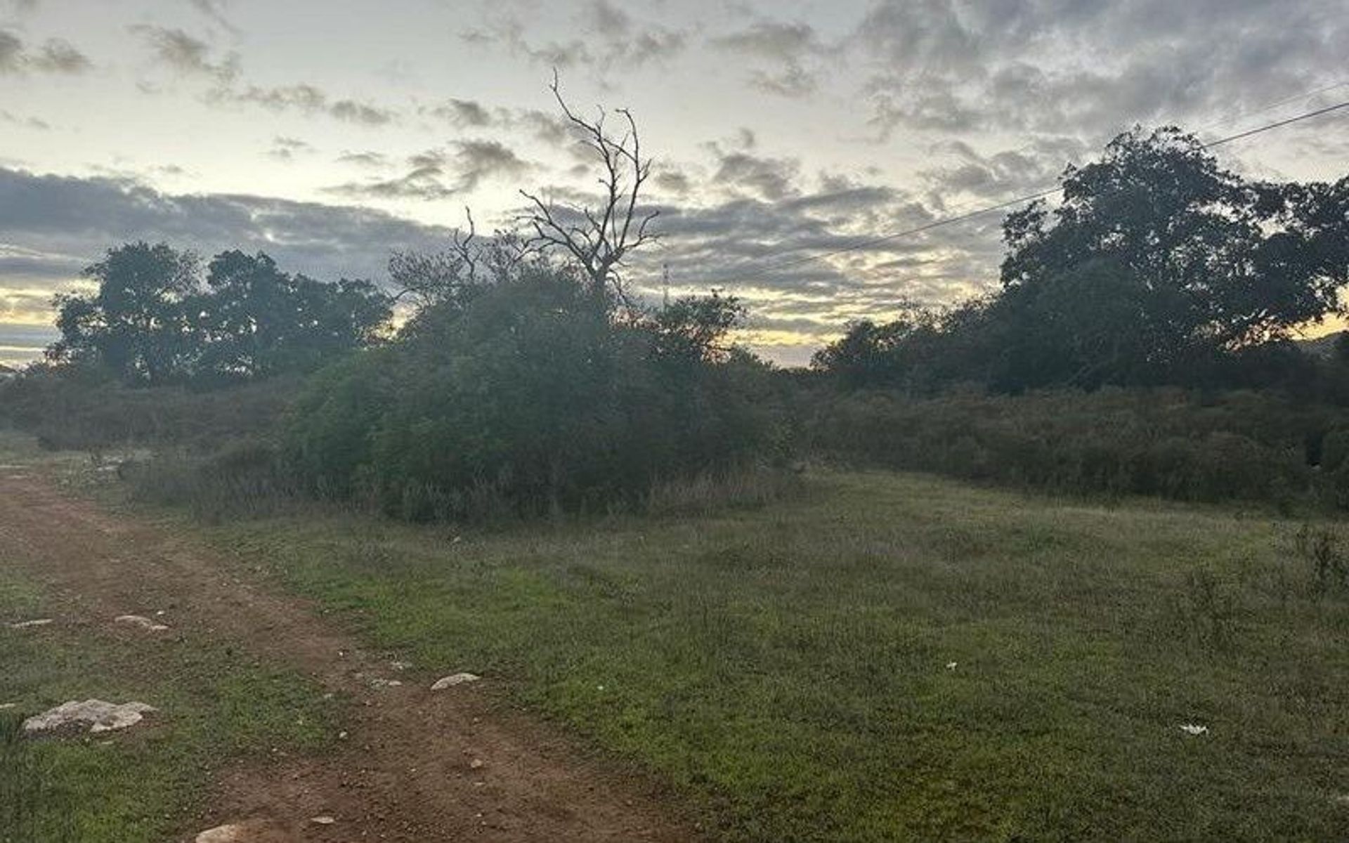 Tierra en São Brás de Alportel, Faro District 11490162