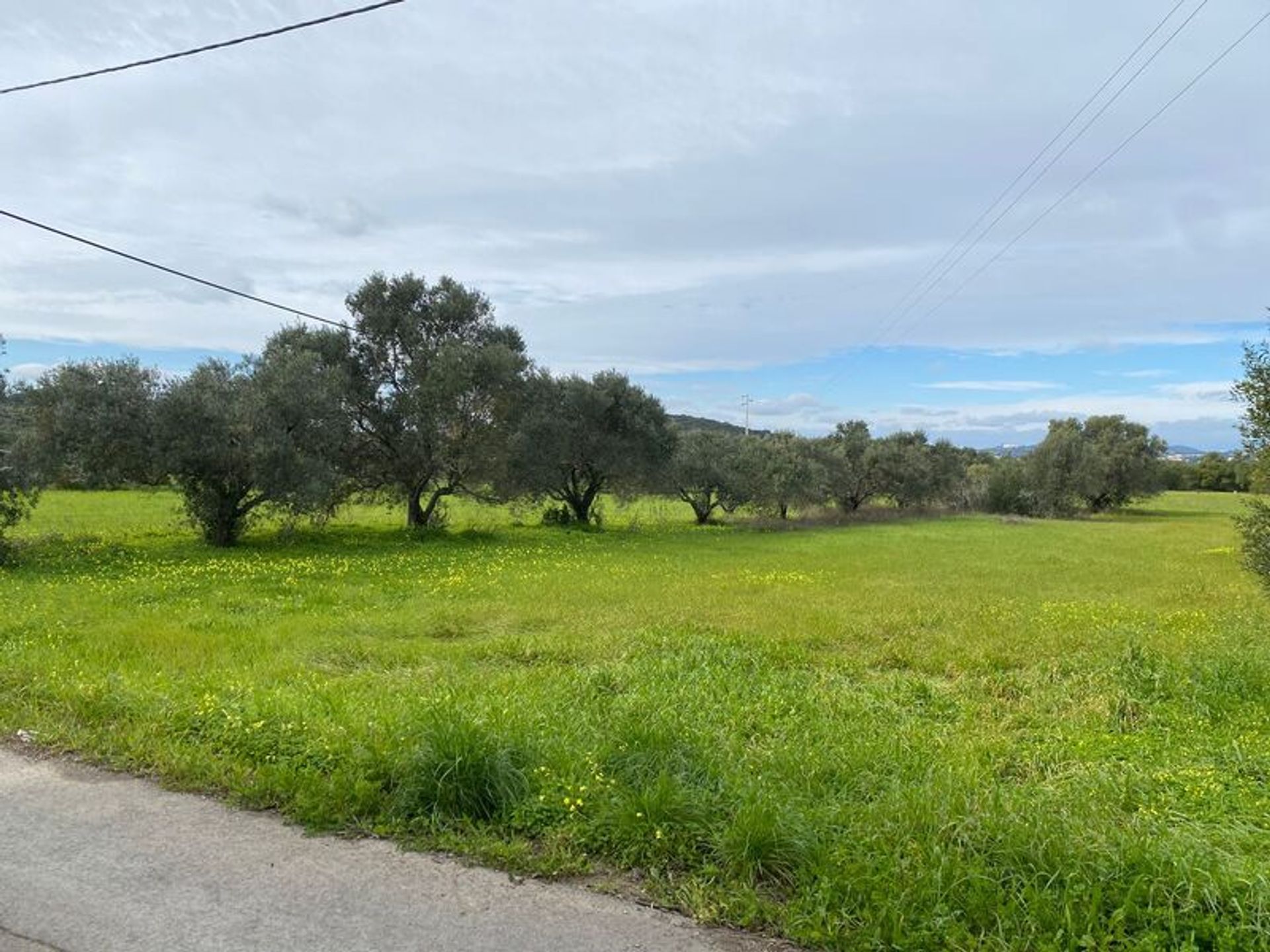 Tierra en São Brás de Alportel, Faro District 11490162