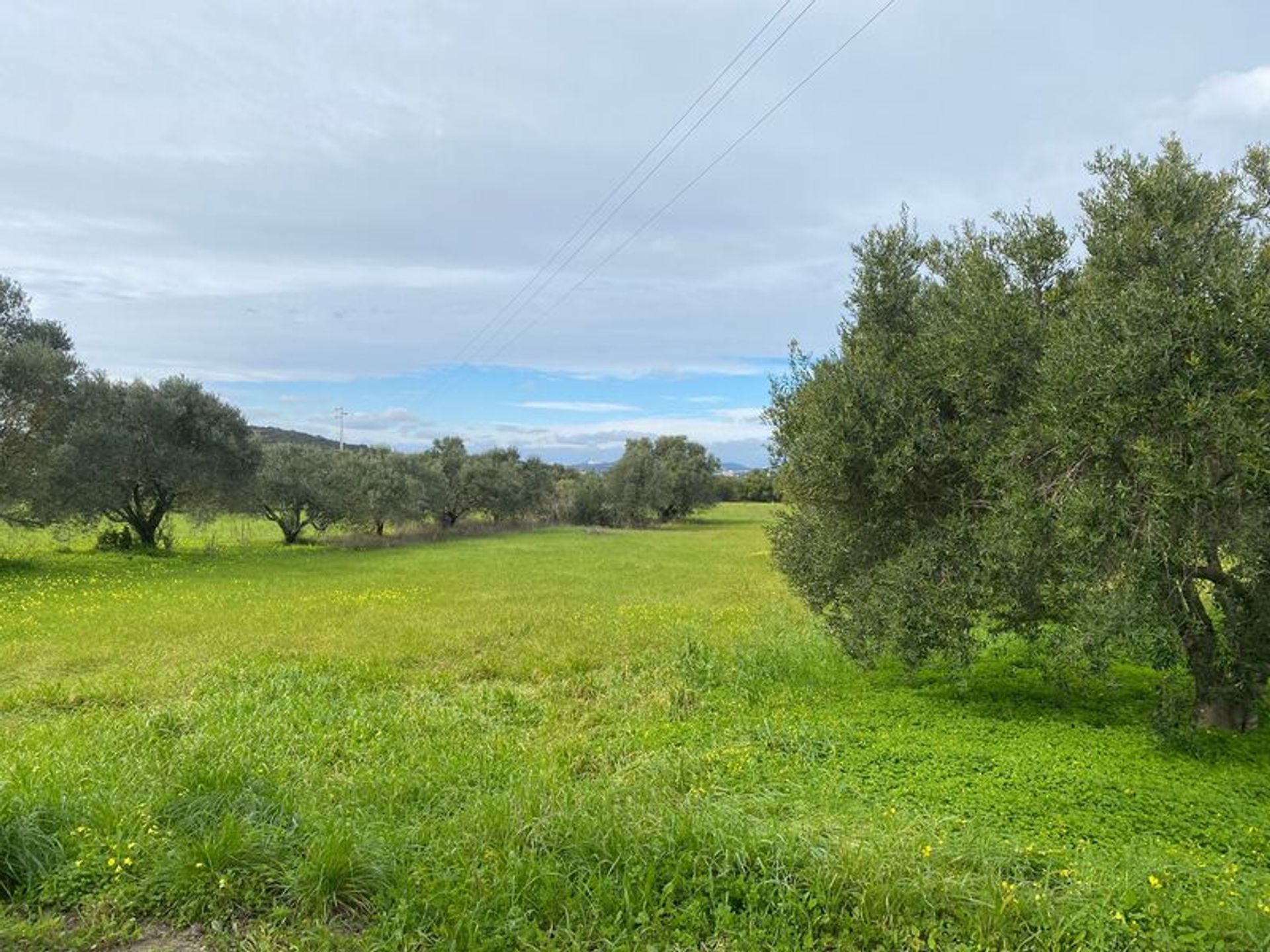 Tierra en São Brás de Alportel, Faro District 11490162