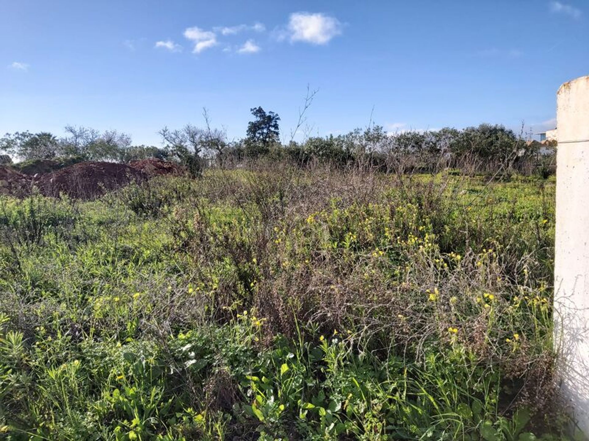 Tierra en Tavira, Faraón 11490184