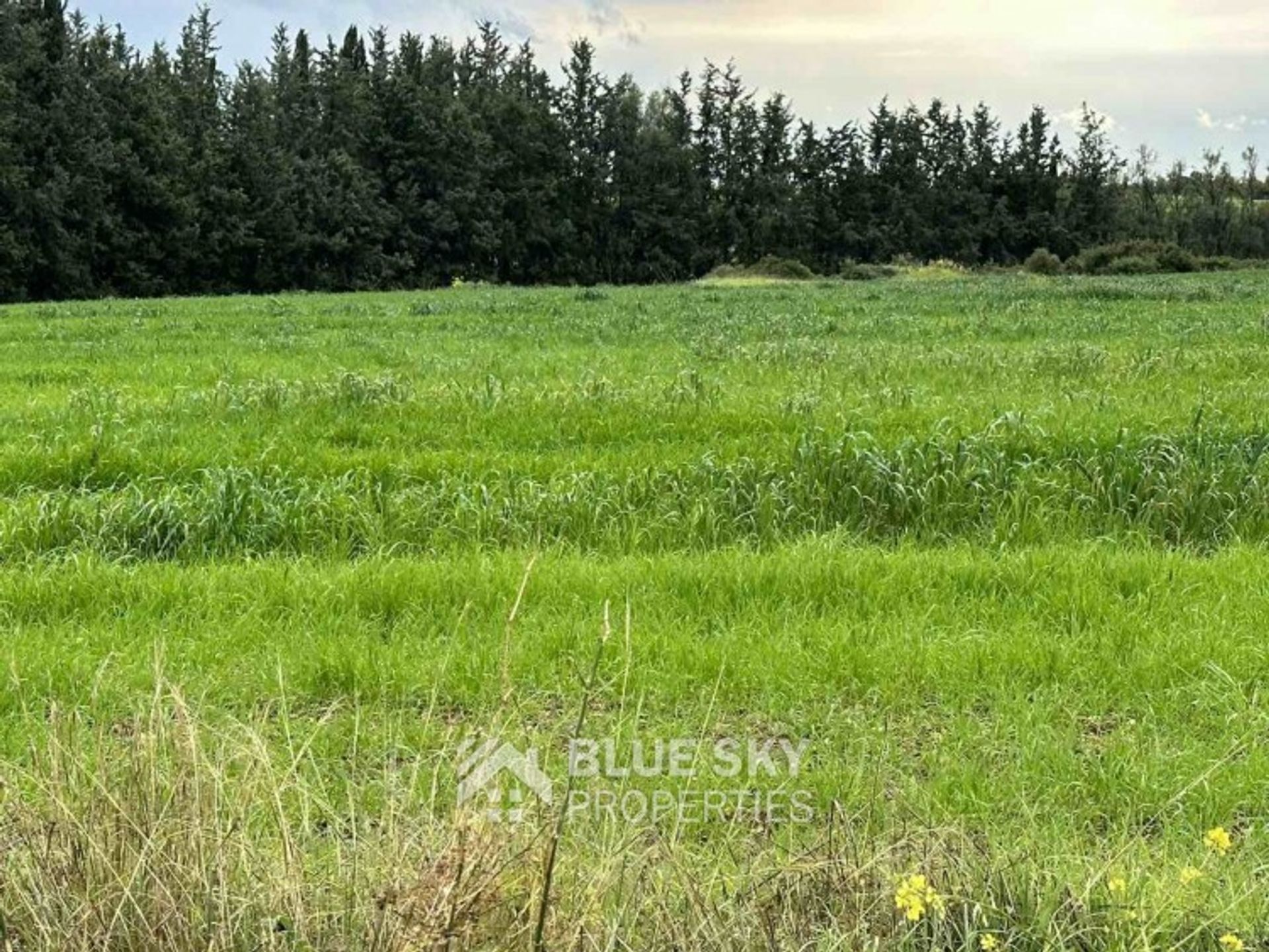 Land i Agia Marinouda, Pafos 11490247