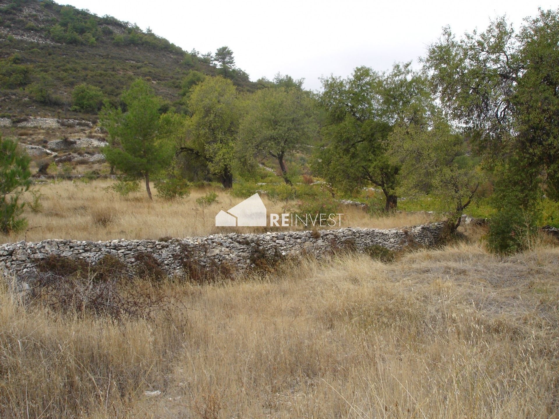 Land im Soularavia, Lemesos 11490389