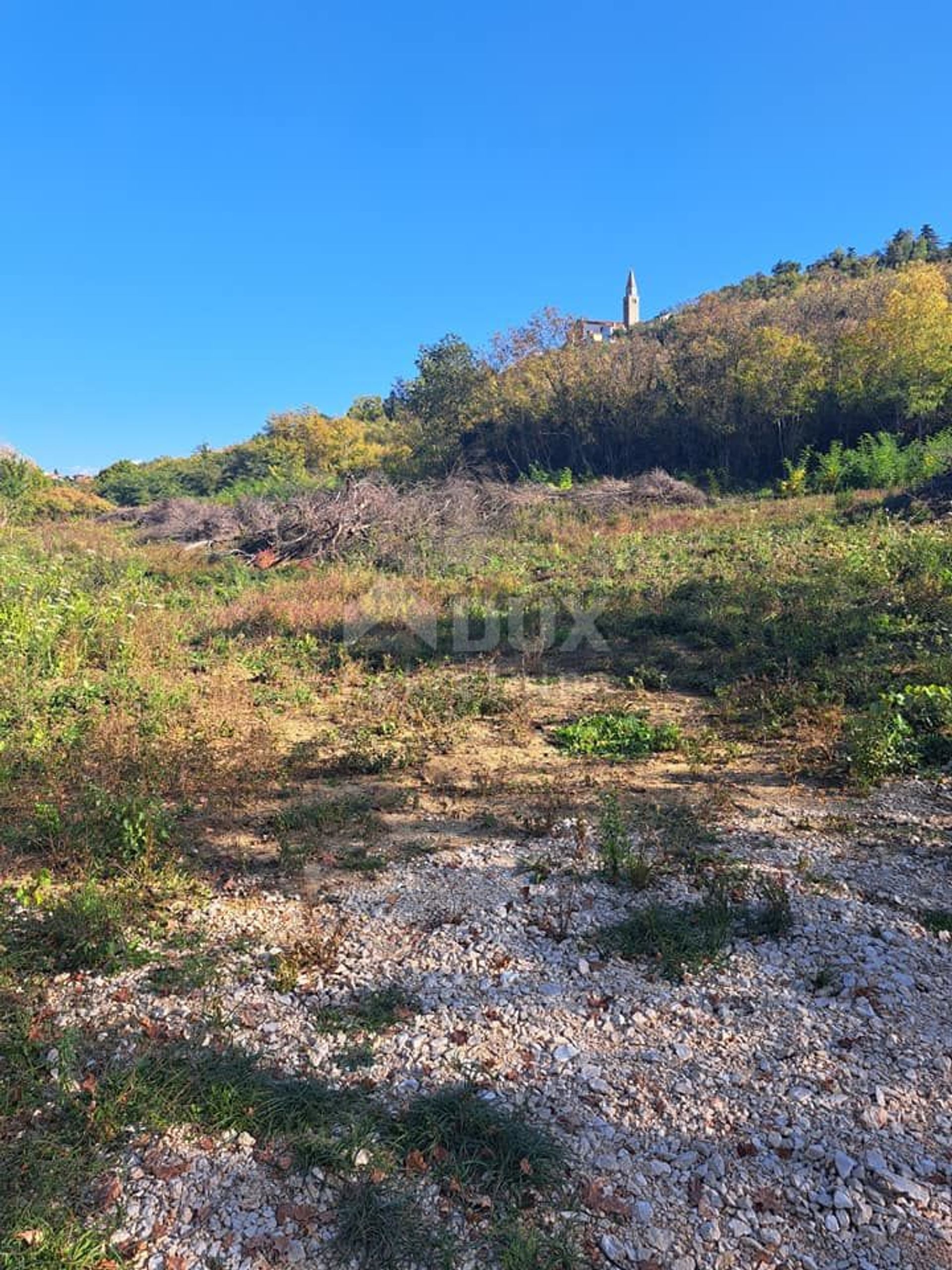 Terra no Buje, Istria County 11490738