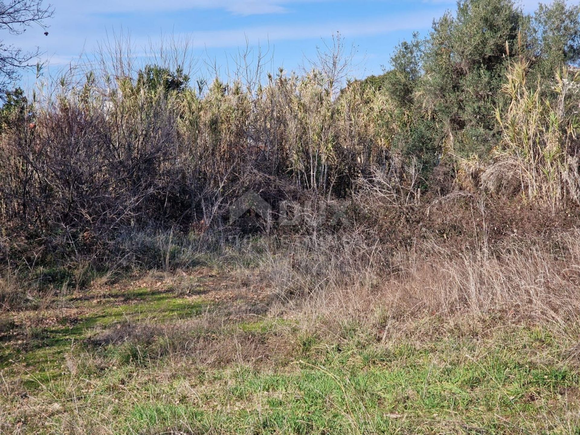 Land in Poreč, Istria County 11490853