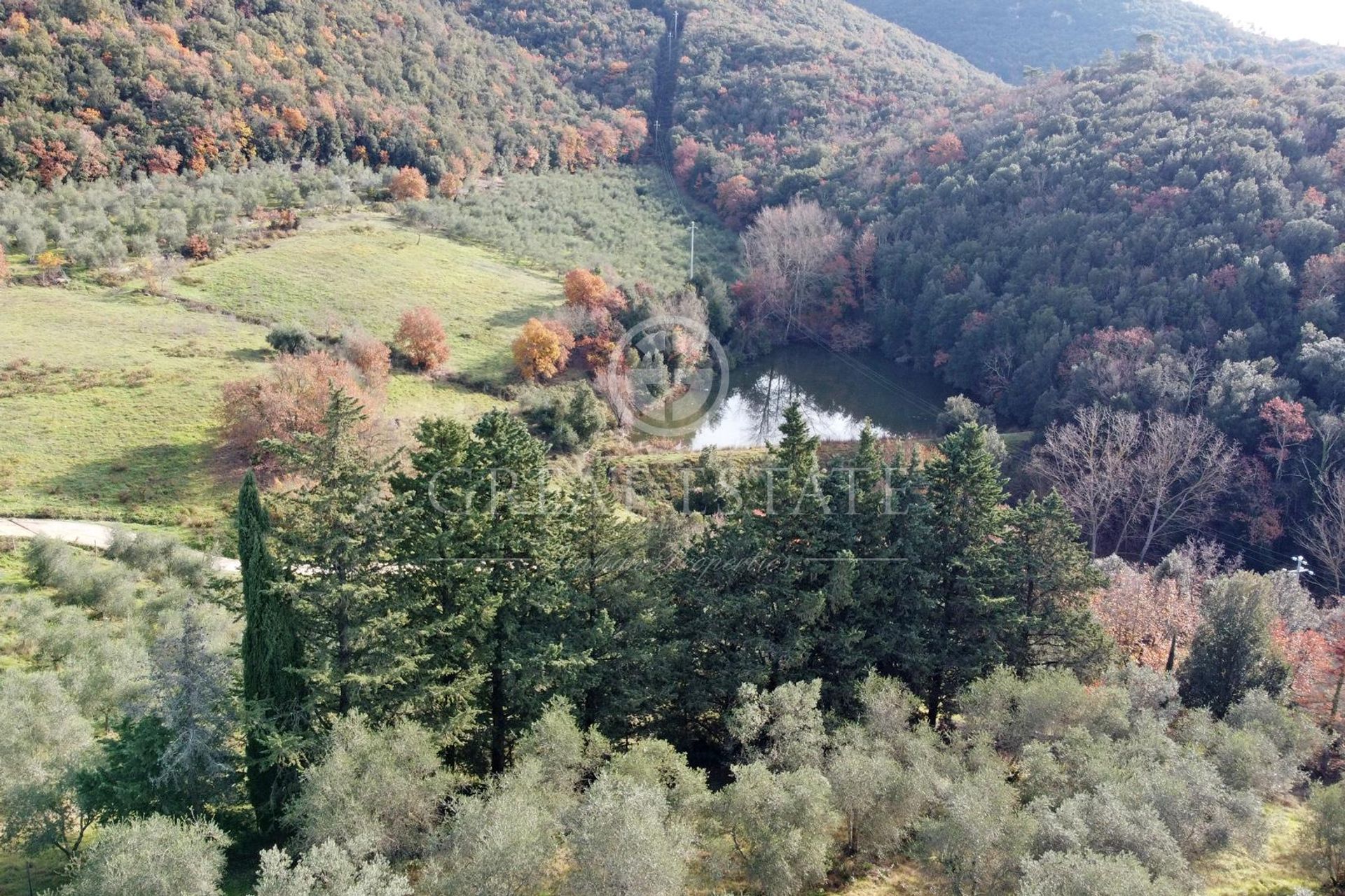 بيت في Castelnuovo Berardenga, Tuscany 11490962