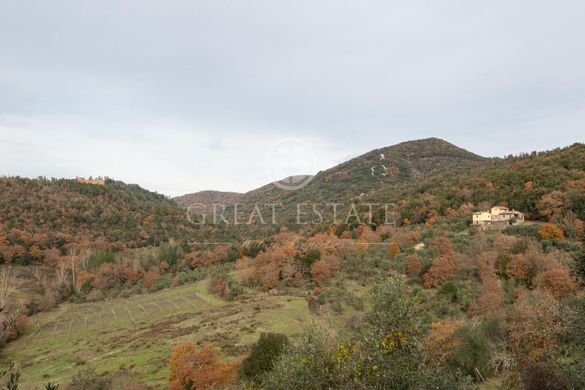 בַּיִת ב Castelnuovo Berardenga, Tuscany 11490964