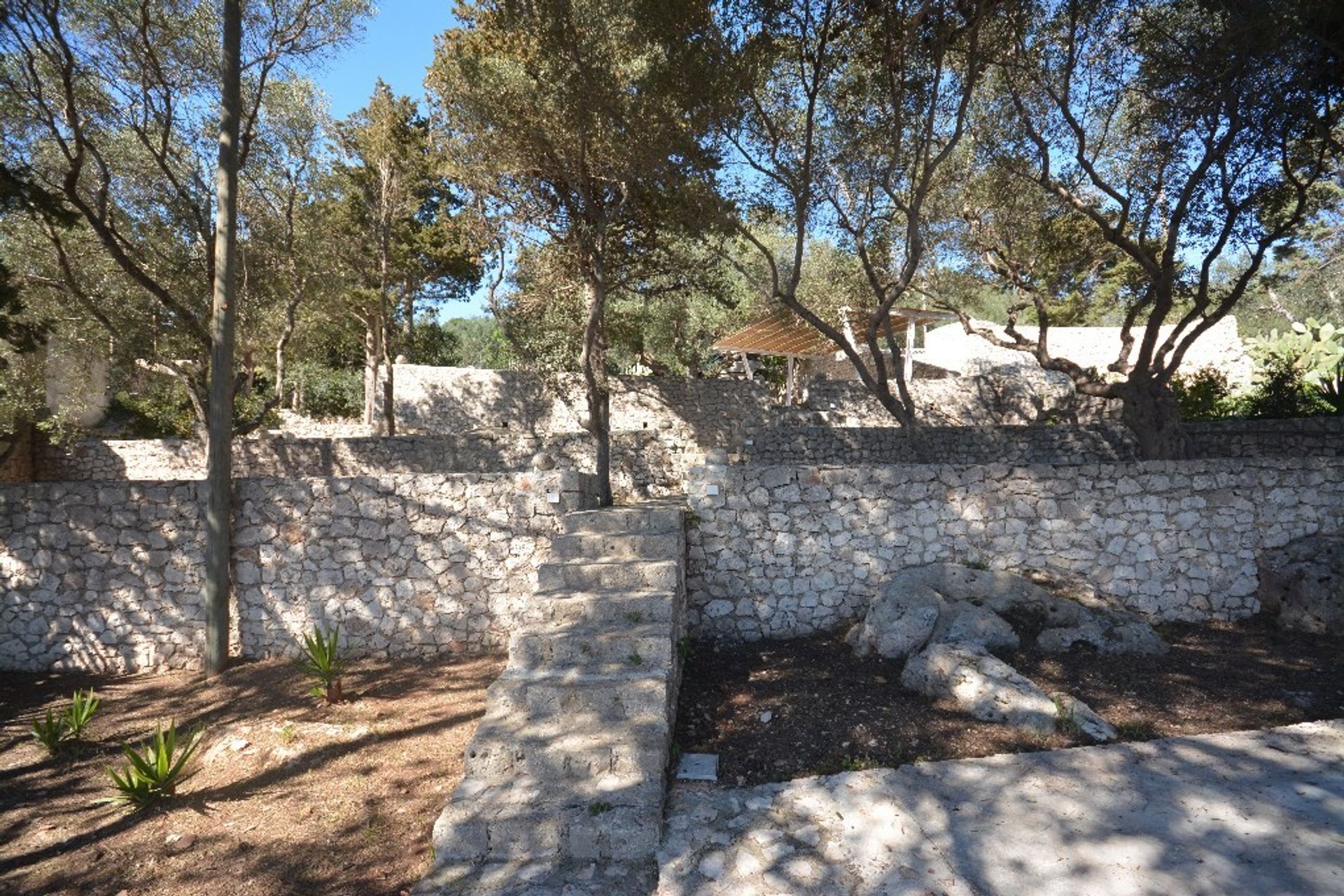 Hus i Diso, Puglia 11491002