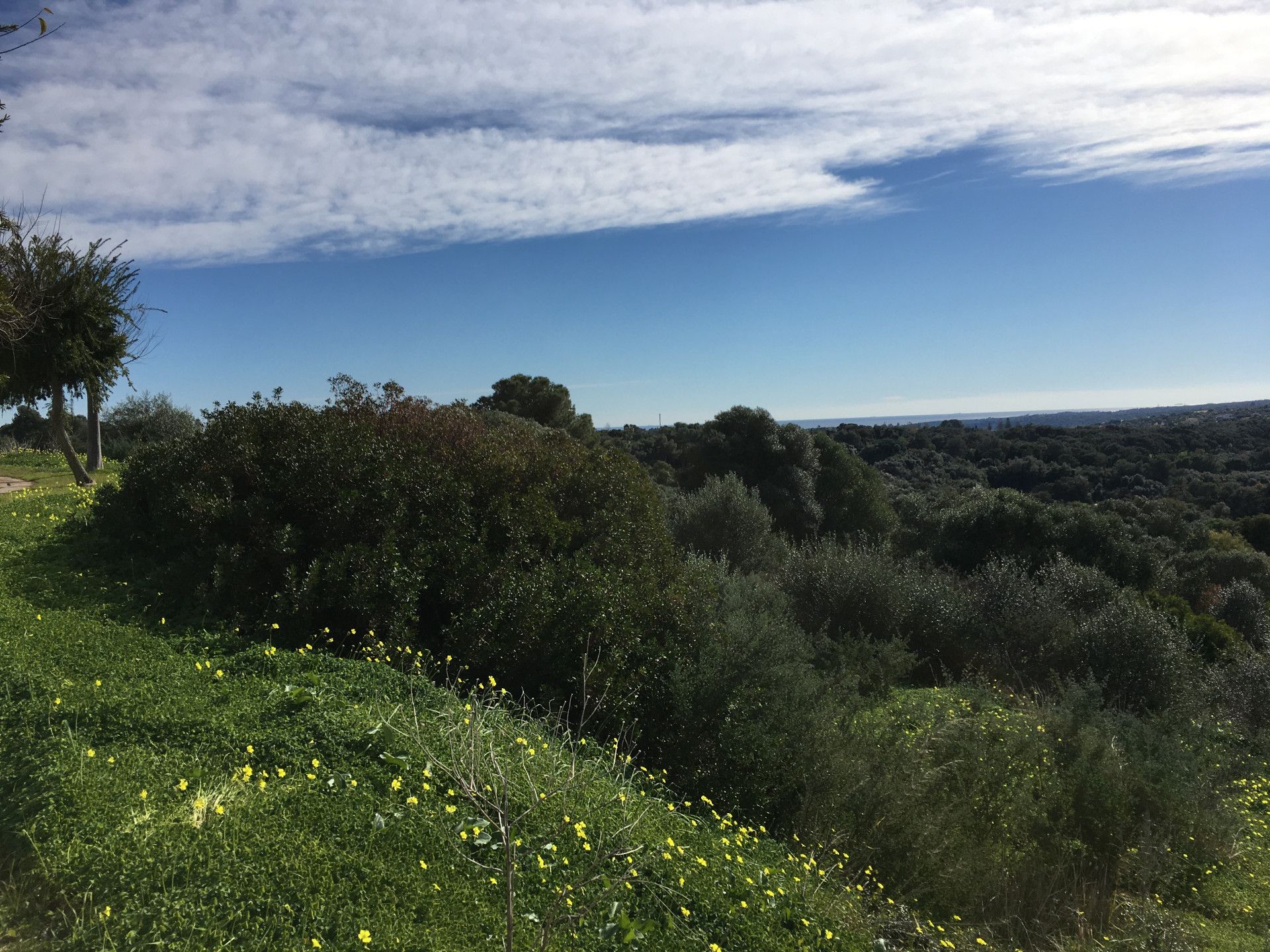 Maa sisään Guadiaro, Andalusia 11491094