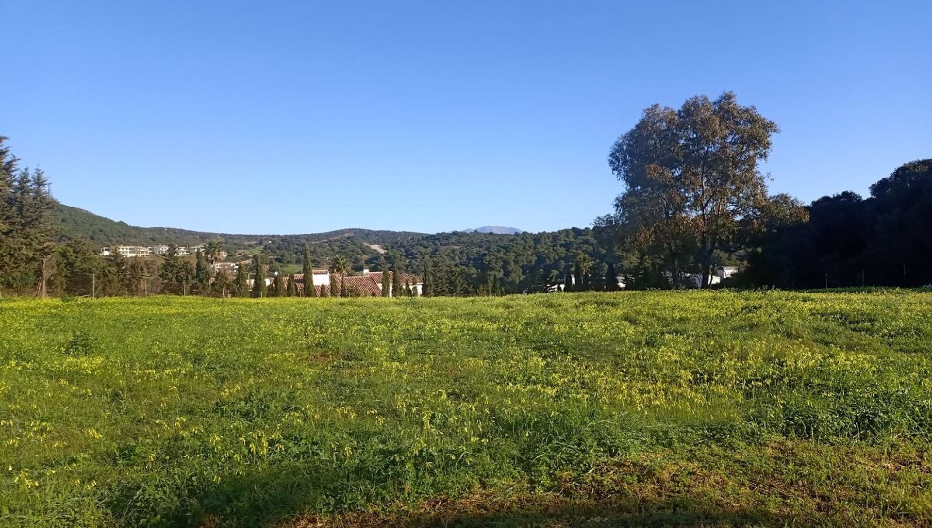 Maa sisään San Roque, Andalucía 11491143