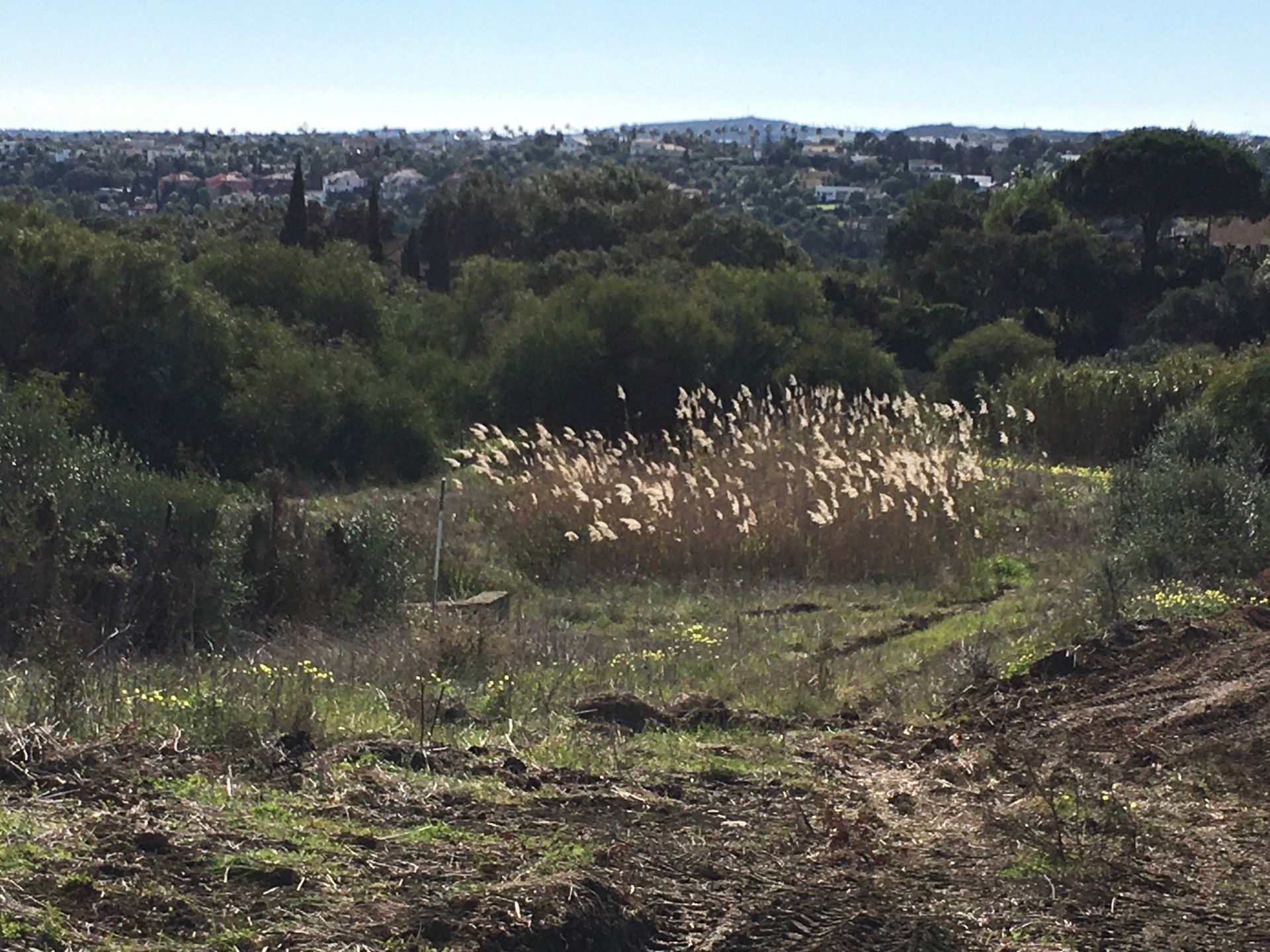 Maa sisään Guadiaro, Andalusia 11491181