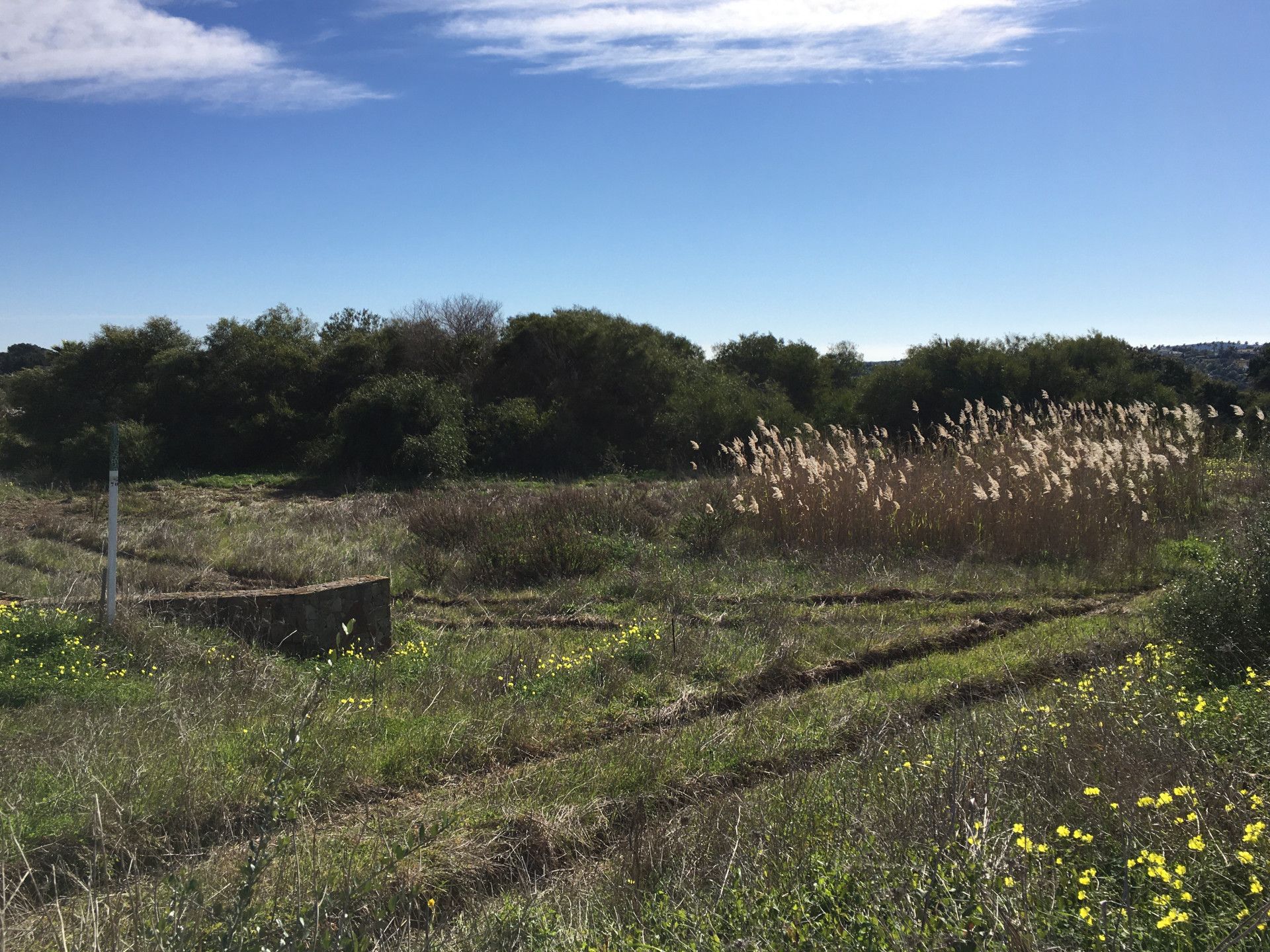 Tierra en Guadiaro, Andalucía 11491181