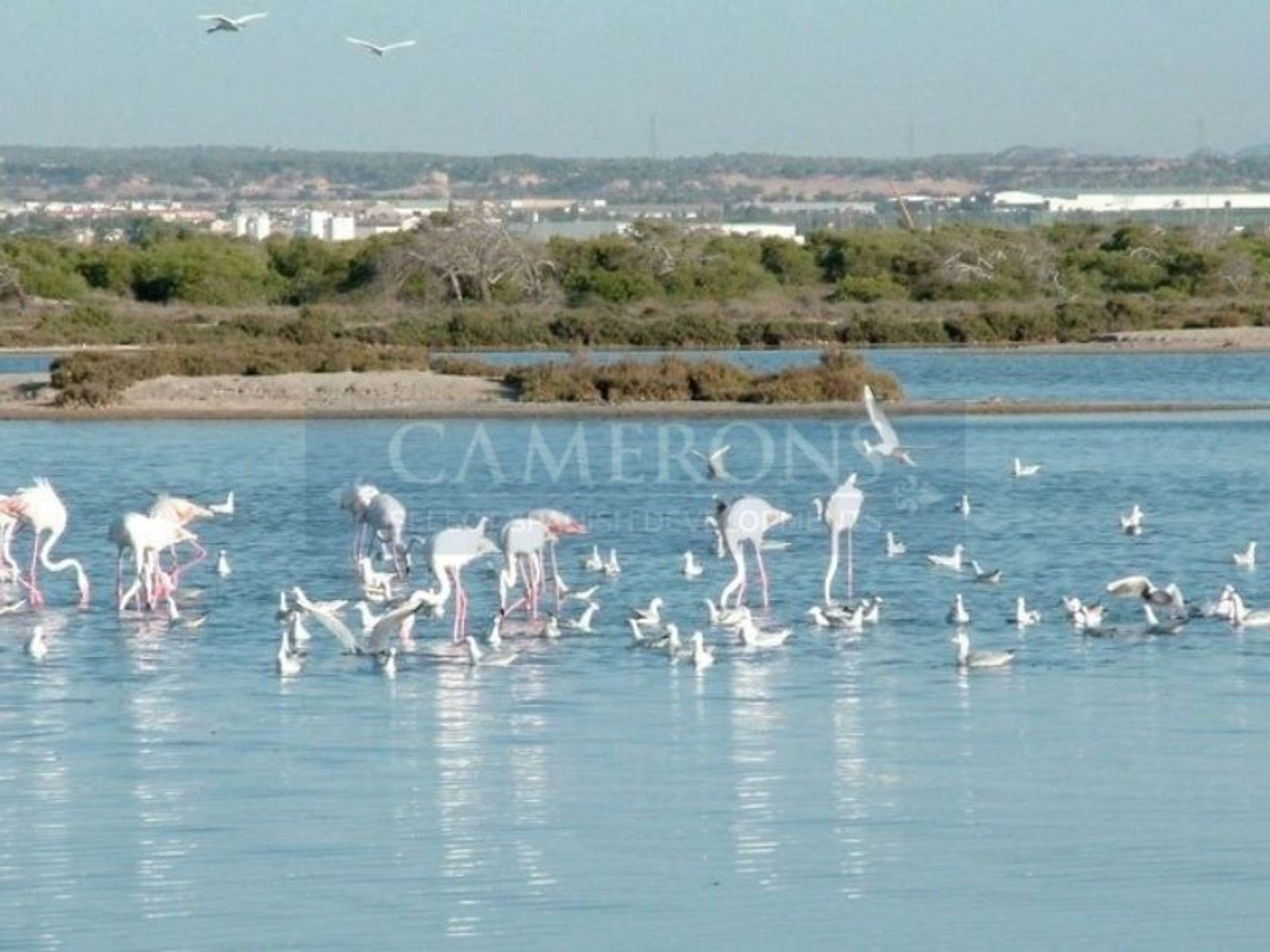 Будинок в San Pedro del Pinatar, Region of Murcia 11491926