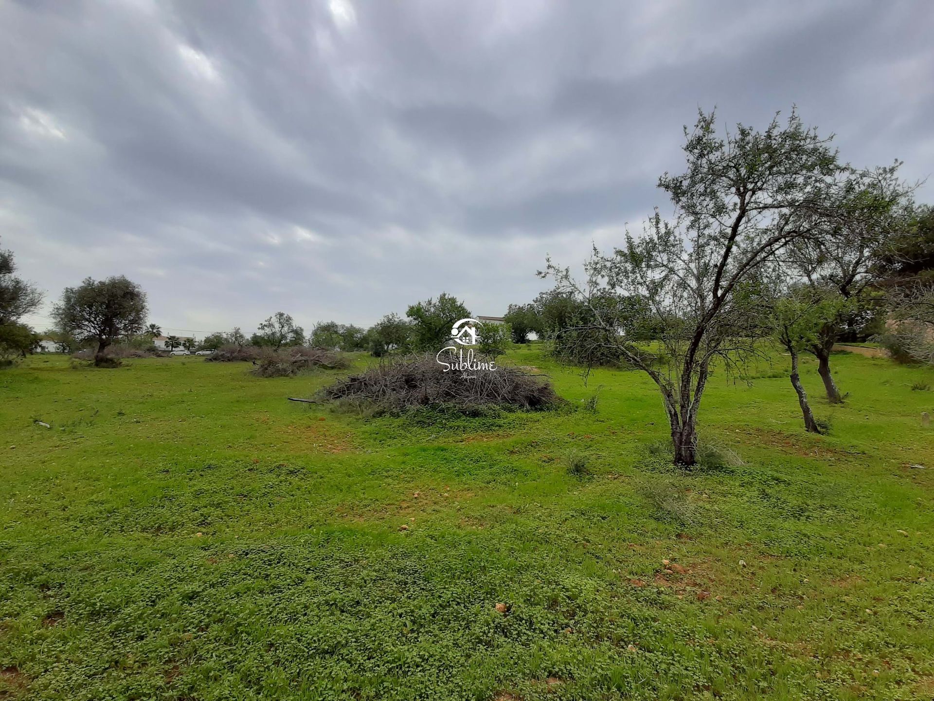 Land im Armação de Pêra, Faro 11492159