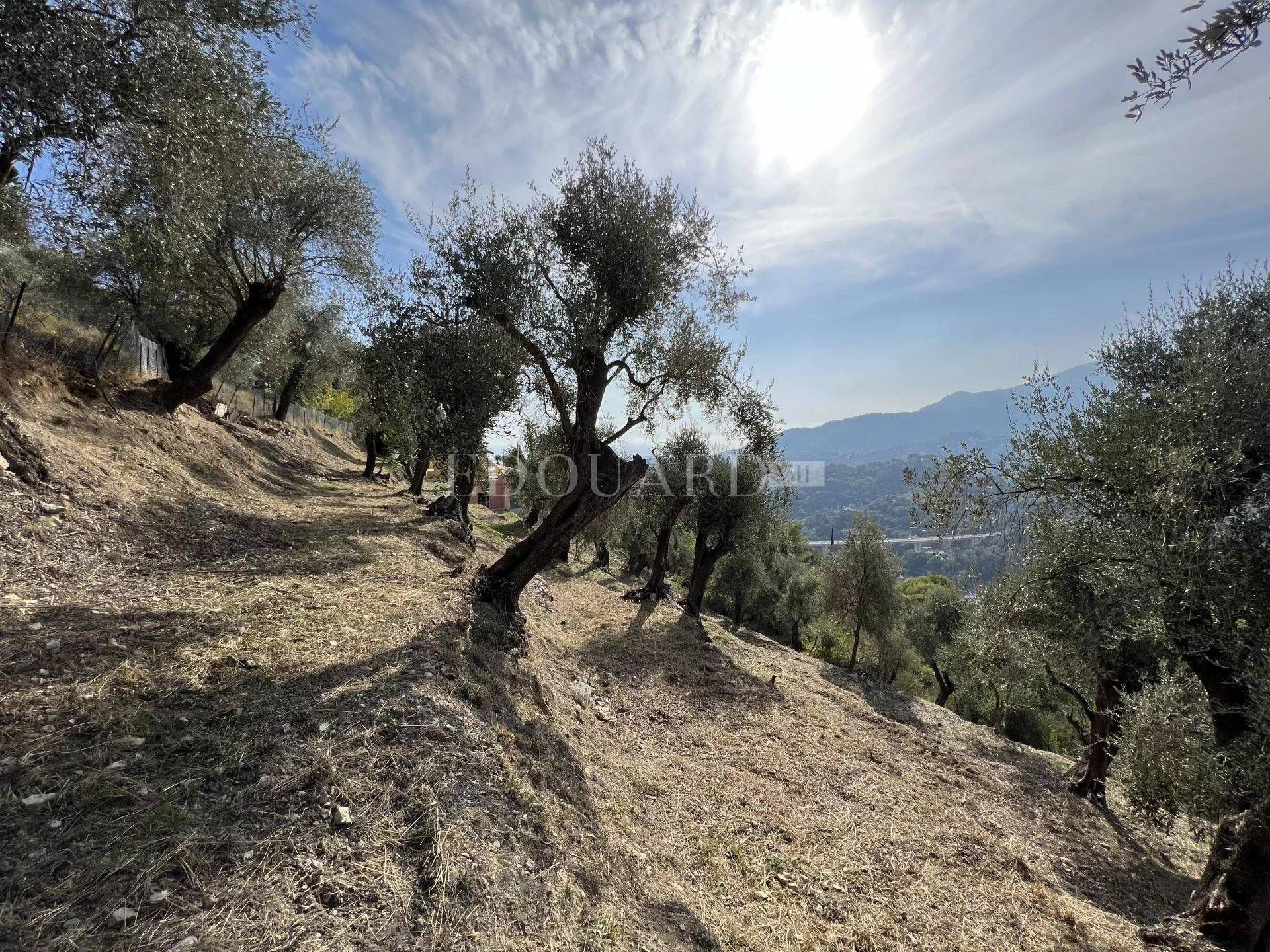 房子 在 Castellar, Provence-Alpes-Côte d'Azur 11492397