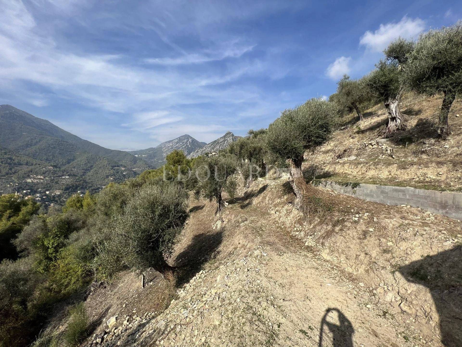 房子 在 Castellar, Provence-Alpes-Côte d'Azur 11492397