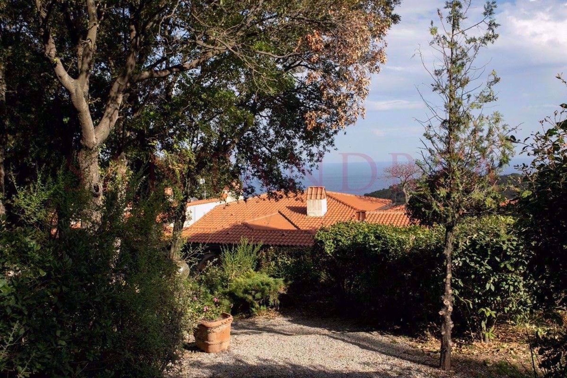 Будинок в Marciana, Toscana 11492578