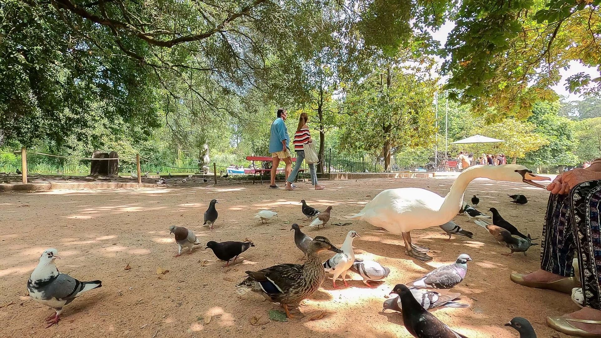 жилой дом в Caldas da Rainha, Leiria District 11492725